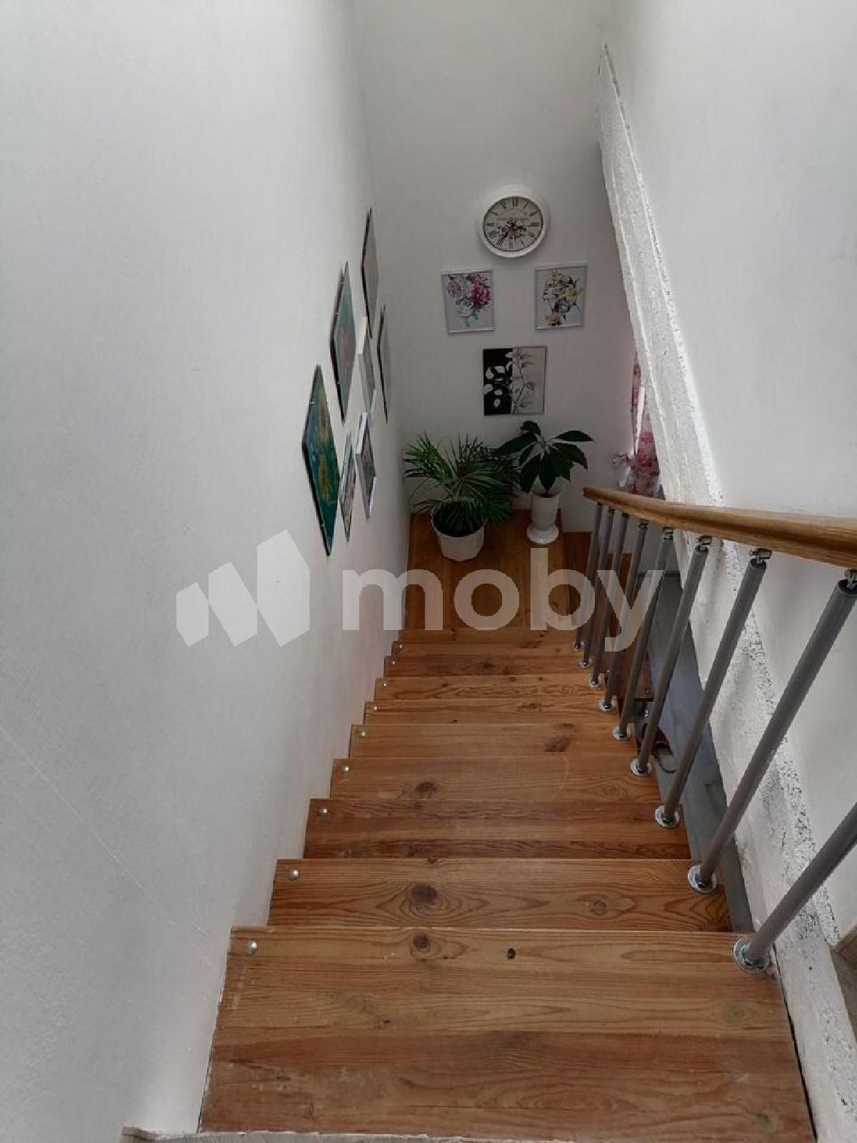 Фото: 37490c0d-5a9d-4689-8eea-459c26a6cdb2.jpg