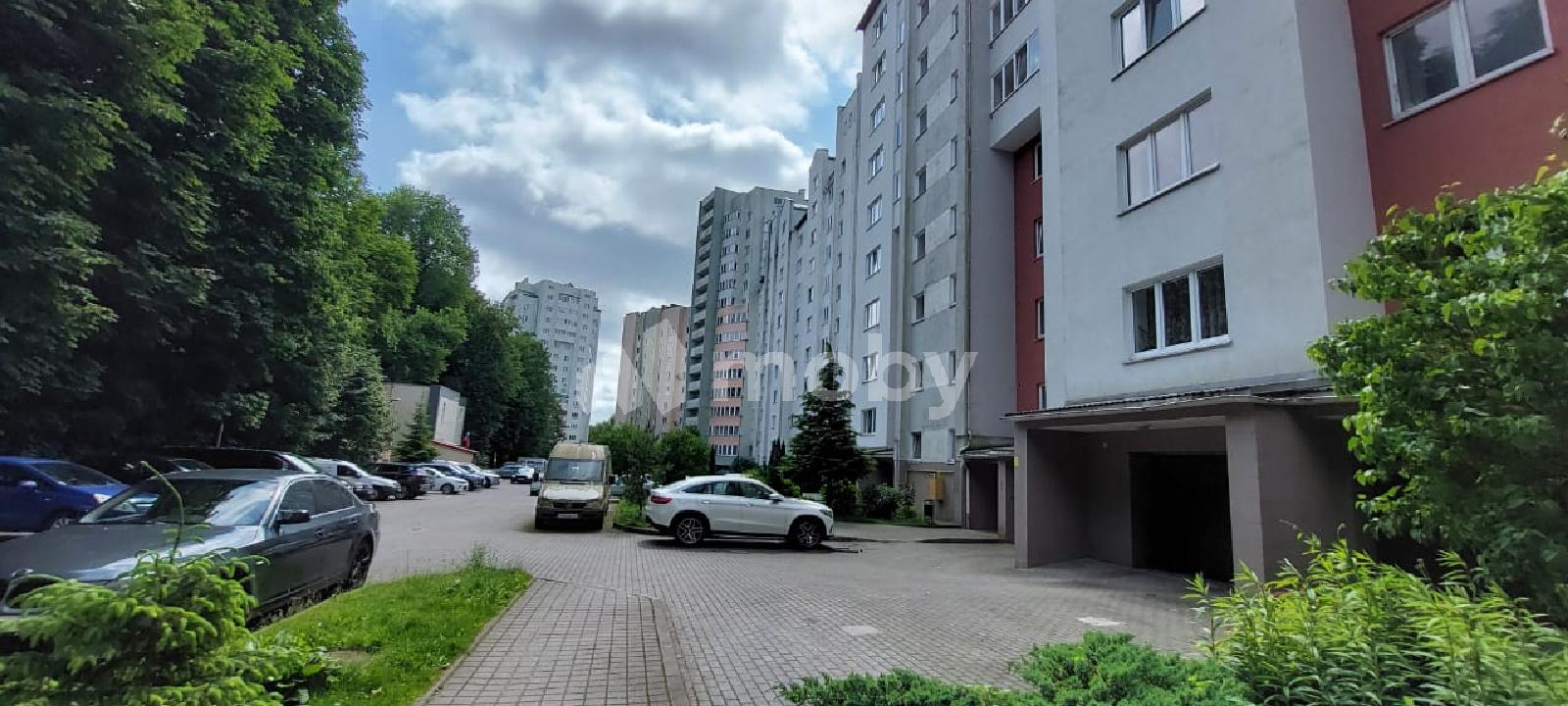 Фото: 375229fc-ca91-45c4-bc47-14e66b22065f.jpg