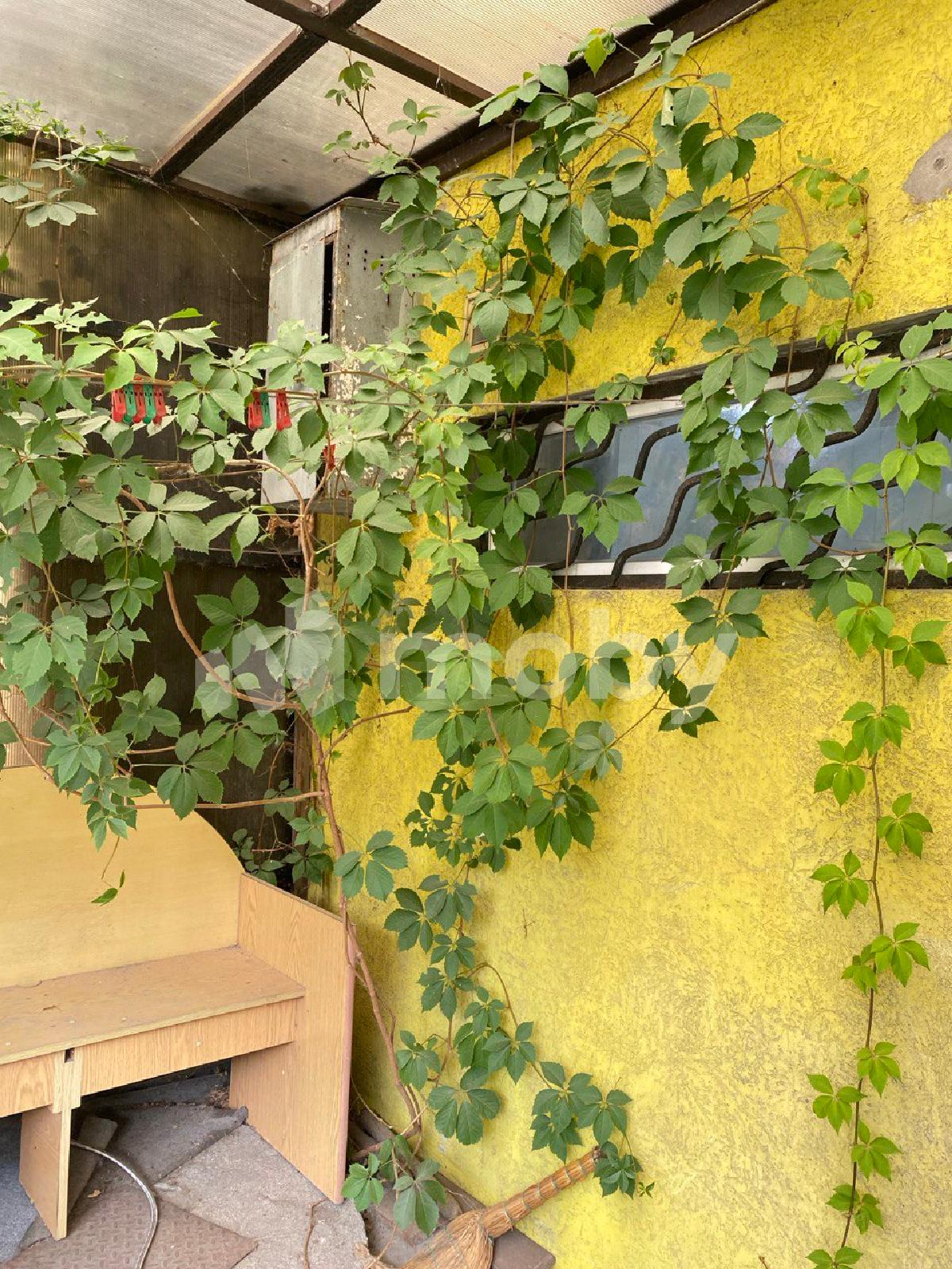 Фото: 375e532c-dd38-4381-9337-4f99f90e755d.jpg