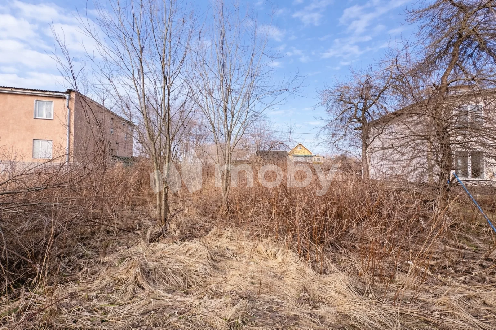 Фото: 37f4209d-8b9d-4ee8-809d-25d03ca9c030.png