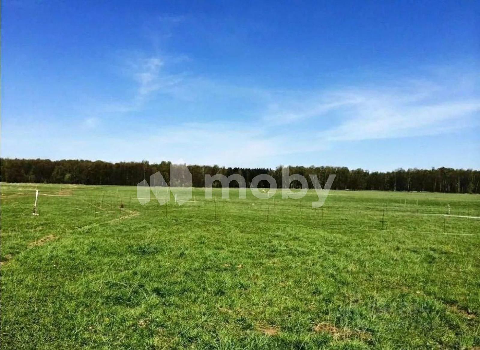 Фото: 3873f8ac-949e-4549-9d6b-4e9f8dac594e.jpg