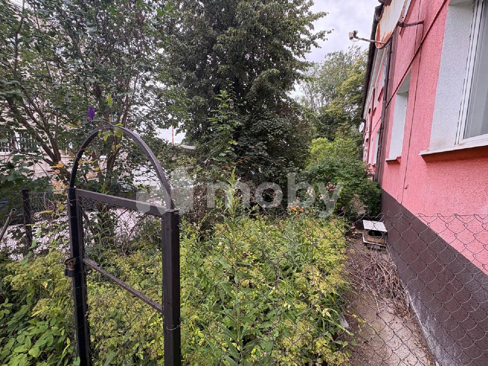 Фото: 38dd1aa9-8601-4762-ad45-b539bc2221b2.jpg
