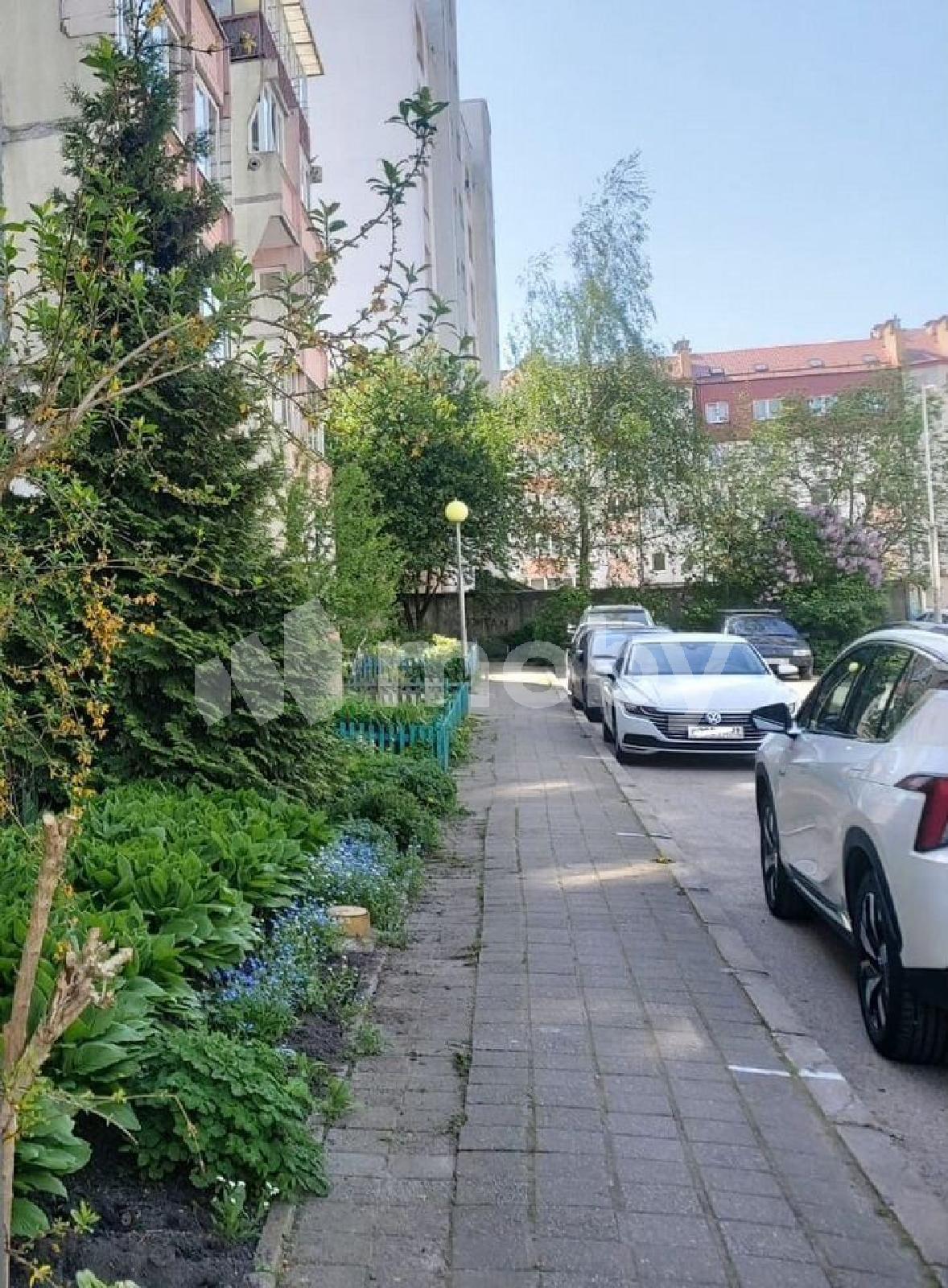 Фото: 393b59a7-9ba8-4c98-b1b9-9fee054913e9.jpg