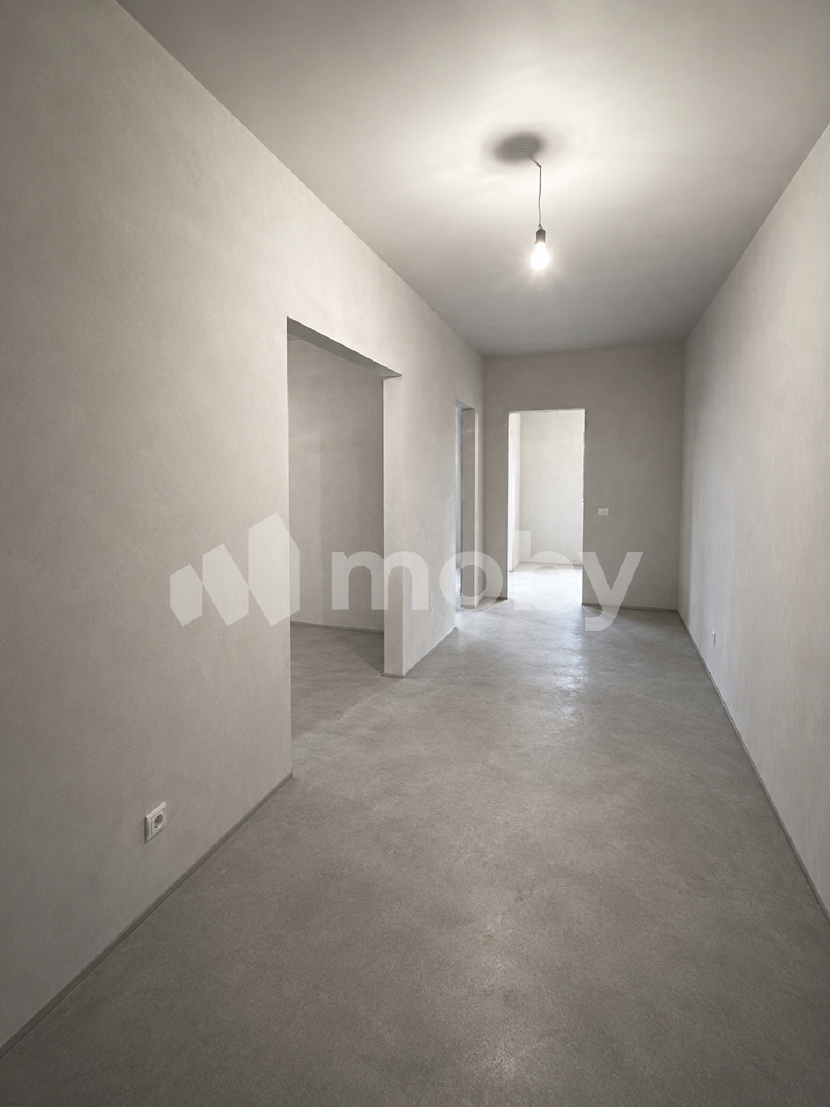 Фото: 39b73b28-8a0e-4416-8d82-fbbc29fe3970.png