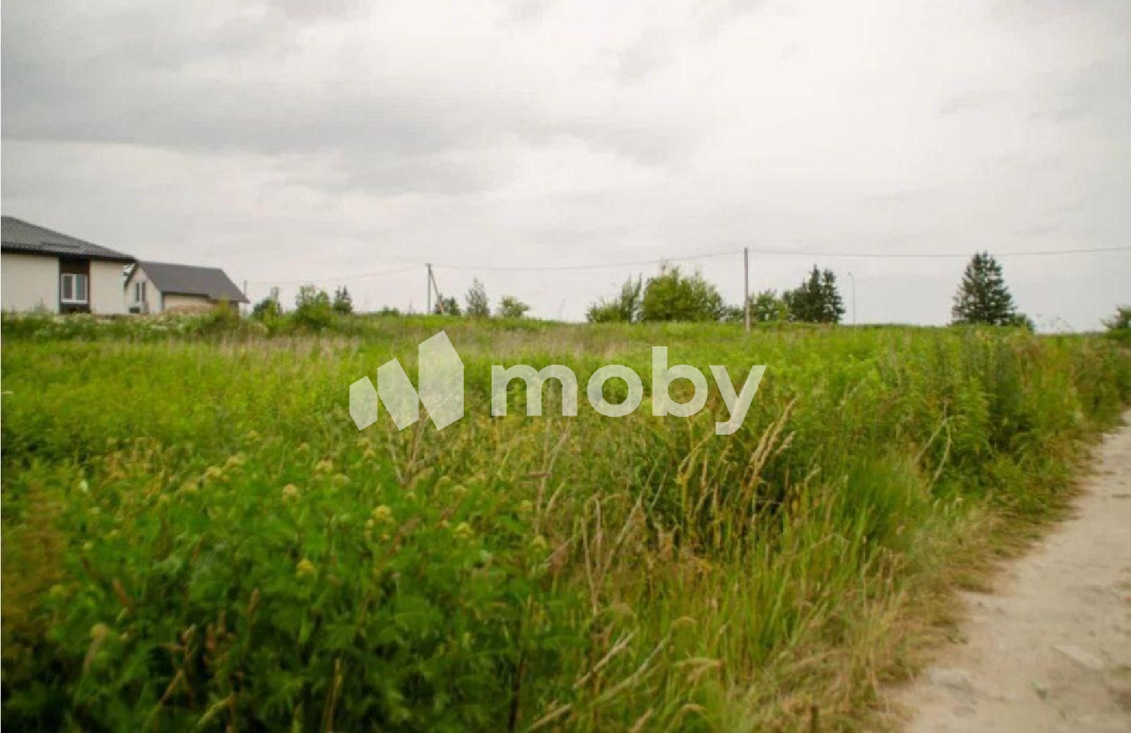 Фото: 3ad22307-100b-49c8-94c4-5c8d82f82368.png