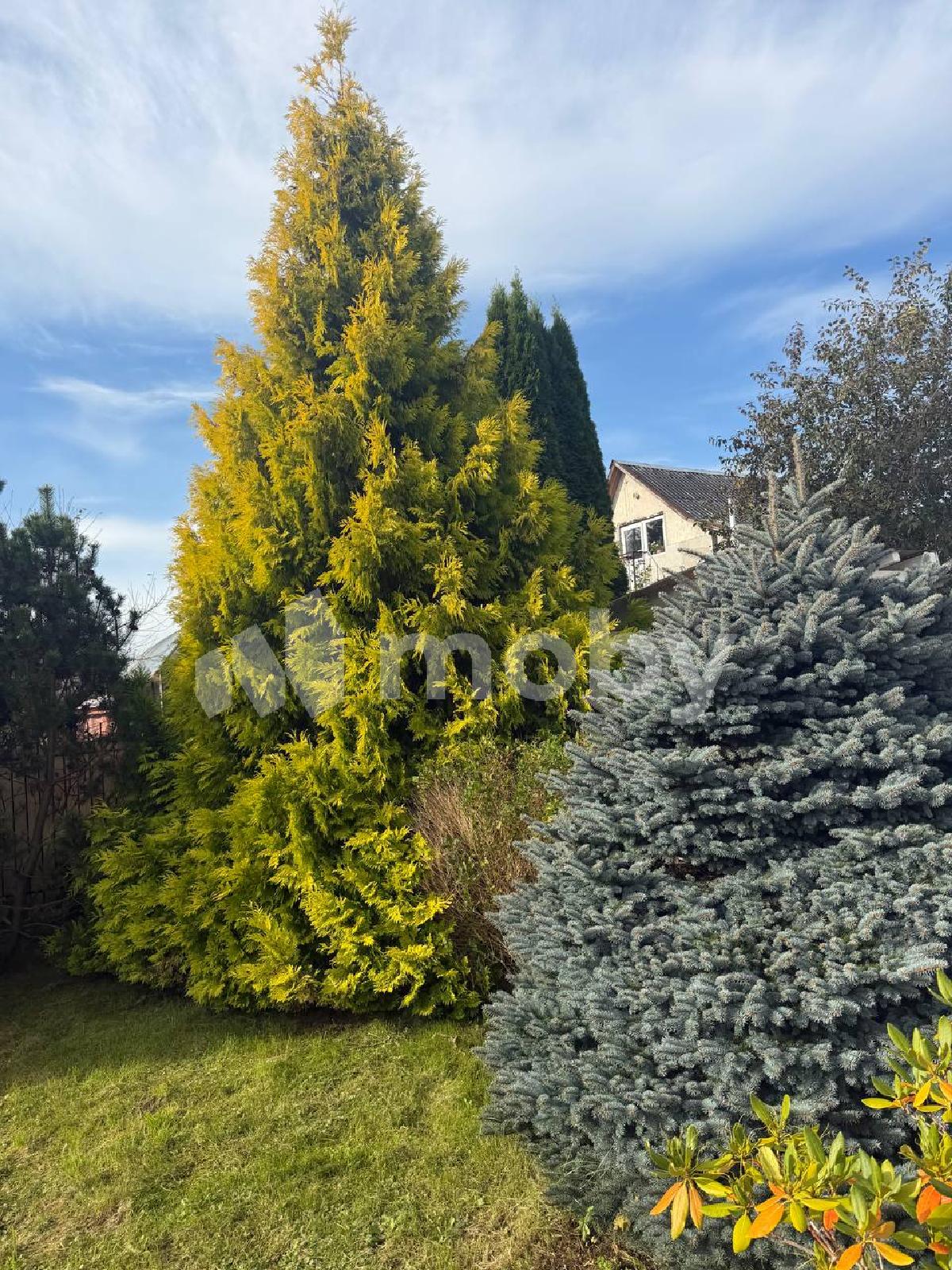 Фото: 3adcdad3-6a2d-4c3a-bd73-616bcae74c03.jpg