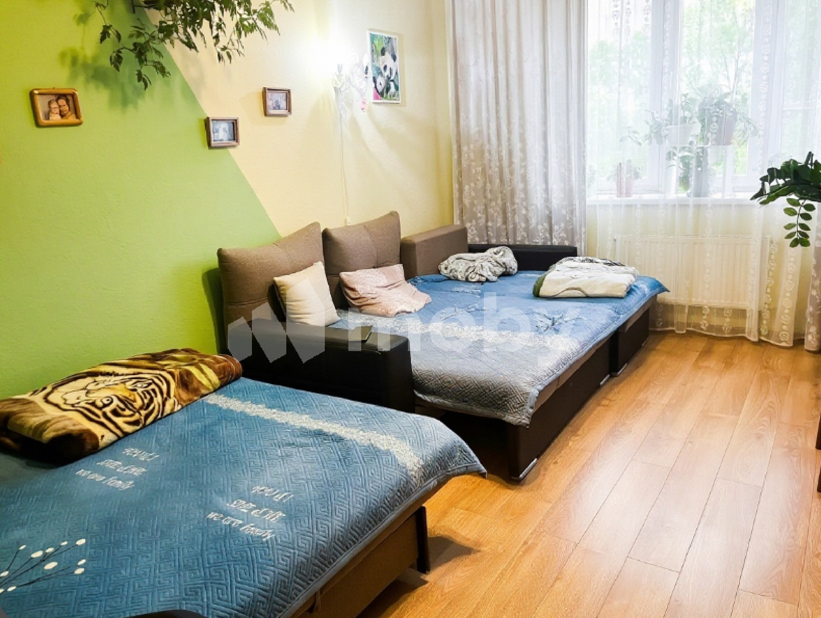 Фото: 3b88e89d-fbe5-4d16-9e2b-cf9d35d492ed.png
