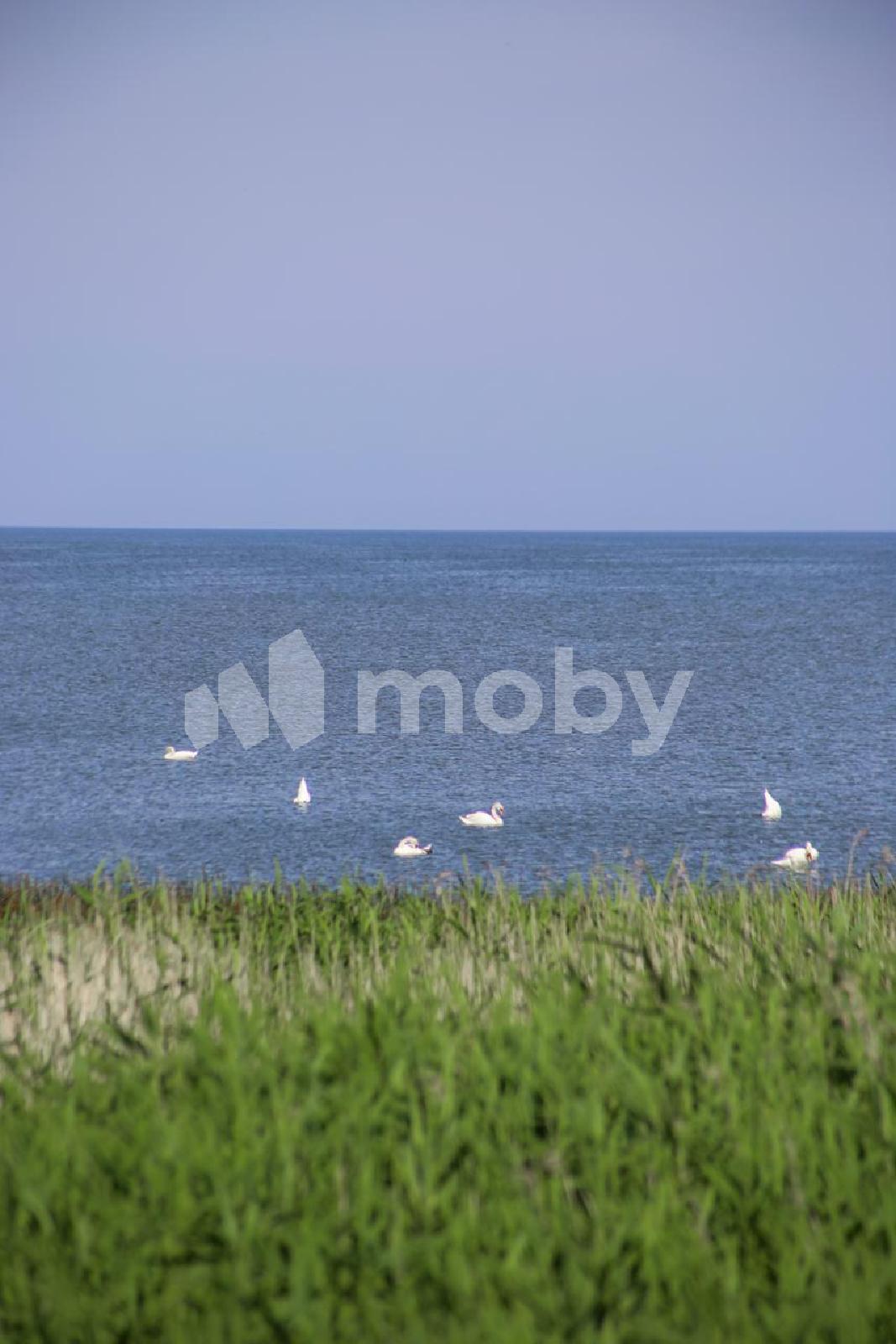 Фото: 3c93857b-830a-4a77-9566-4ecf8e07d30a.jpg