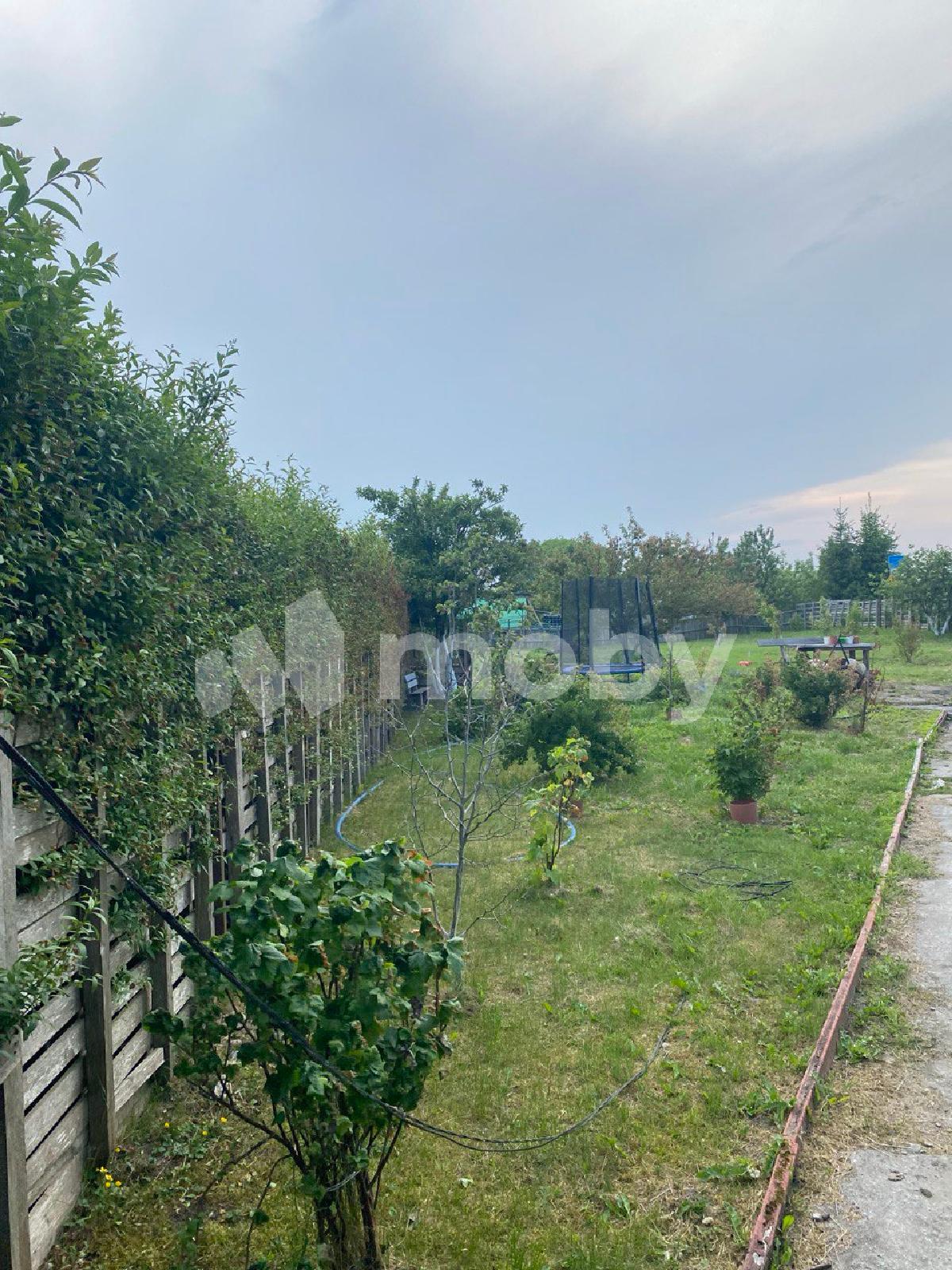 Фото: 3d854328-17d1-4ebf-bc4b-65416999289c.jpg