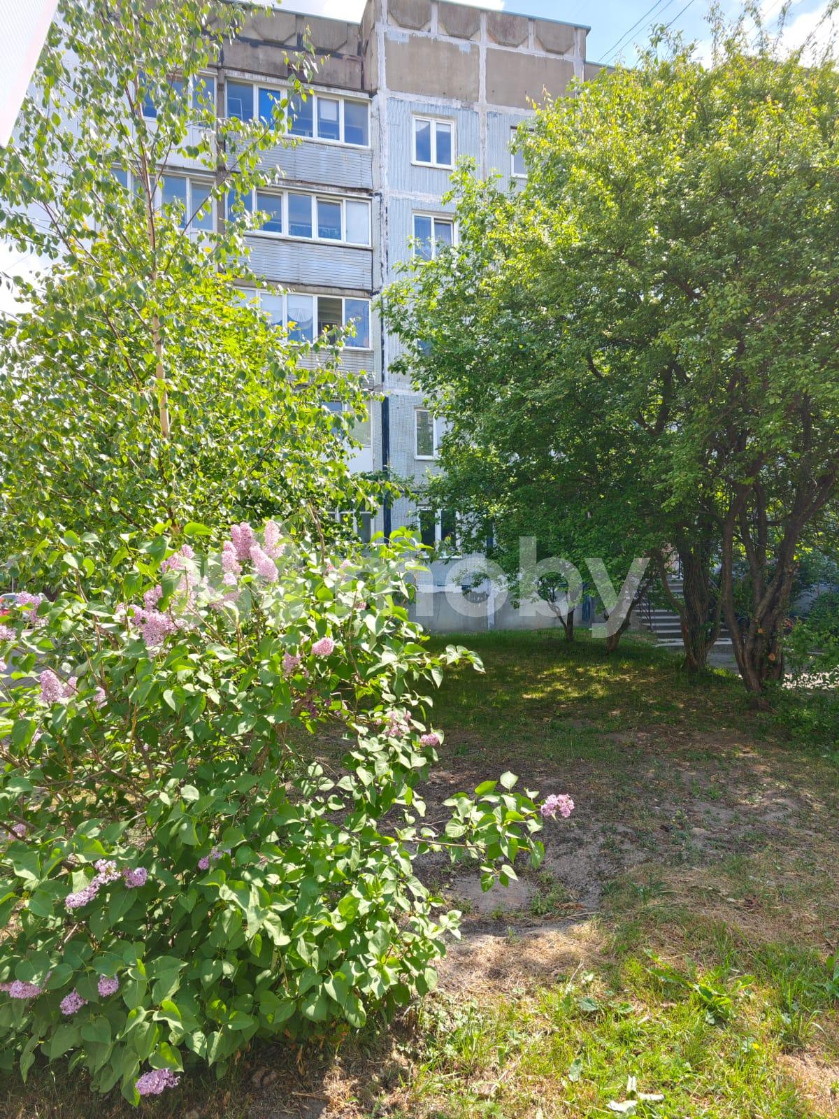 Фото: 3e180ea6-18f7-4ca2-b6a5-9ae3e81e4df3.jpg