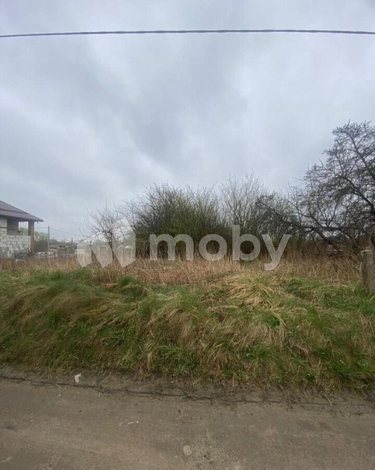 Фото: 3e27bb3f-0cc8-4aca-98a3-a52fa99488e3.jpeg