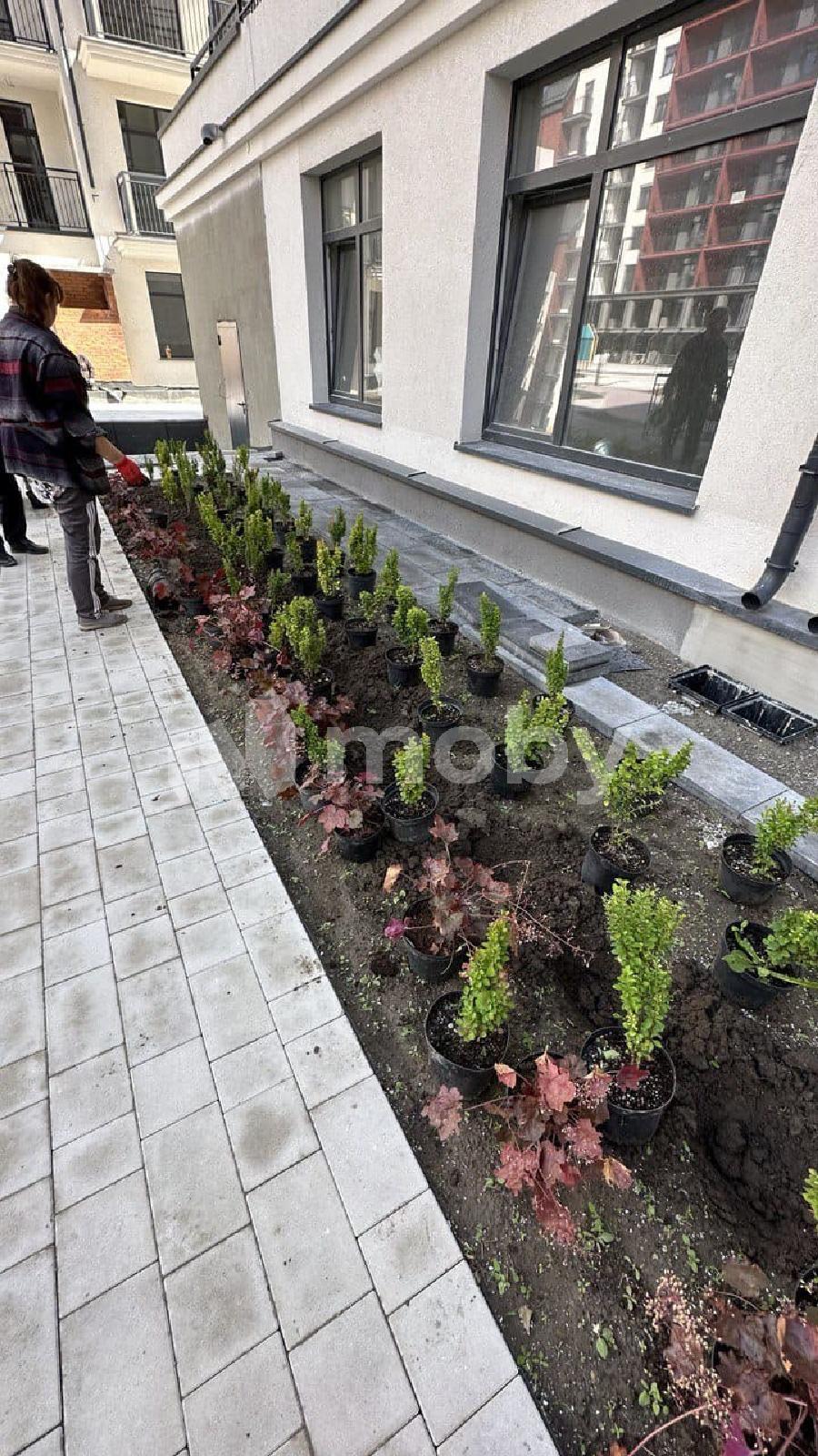 Фото: 3e594e26-c5dd-4c58-b631-e9469d7931af.jpg