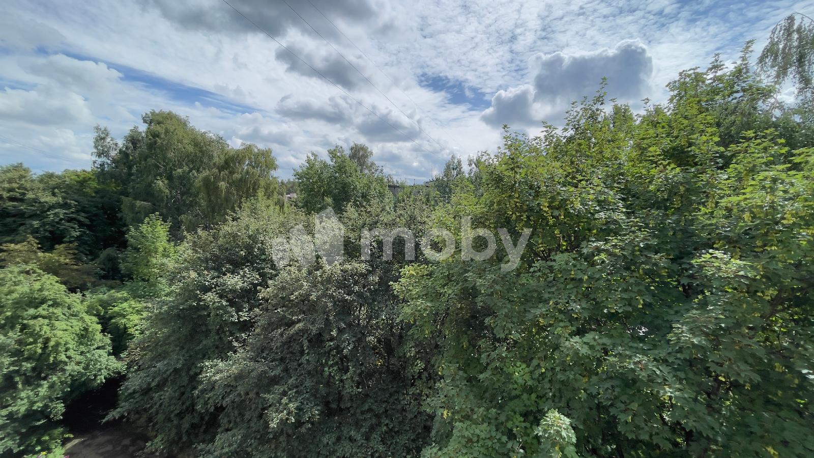 Фото: 3f07439a-c2e6-4069-a374-62ae22d646b6.DNG