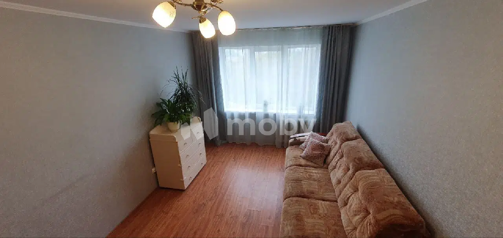 Фото: 3f5c4c23-eddb-4f67-bba2-306aa8af92fd.png