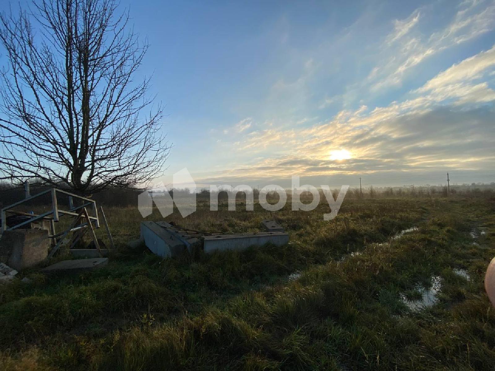 Фото: 3f6c0c6d-06e5-4c3f-b156-cefc84b63f00.jpg