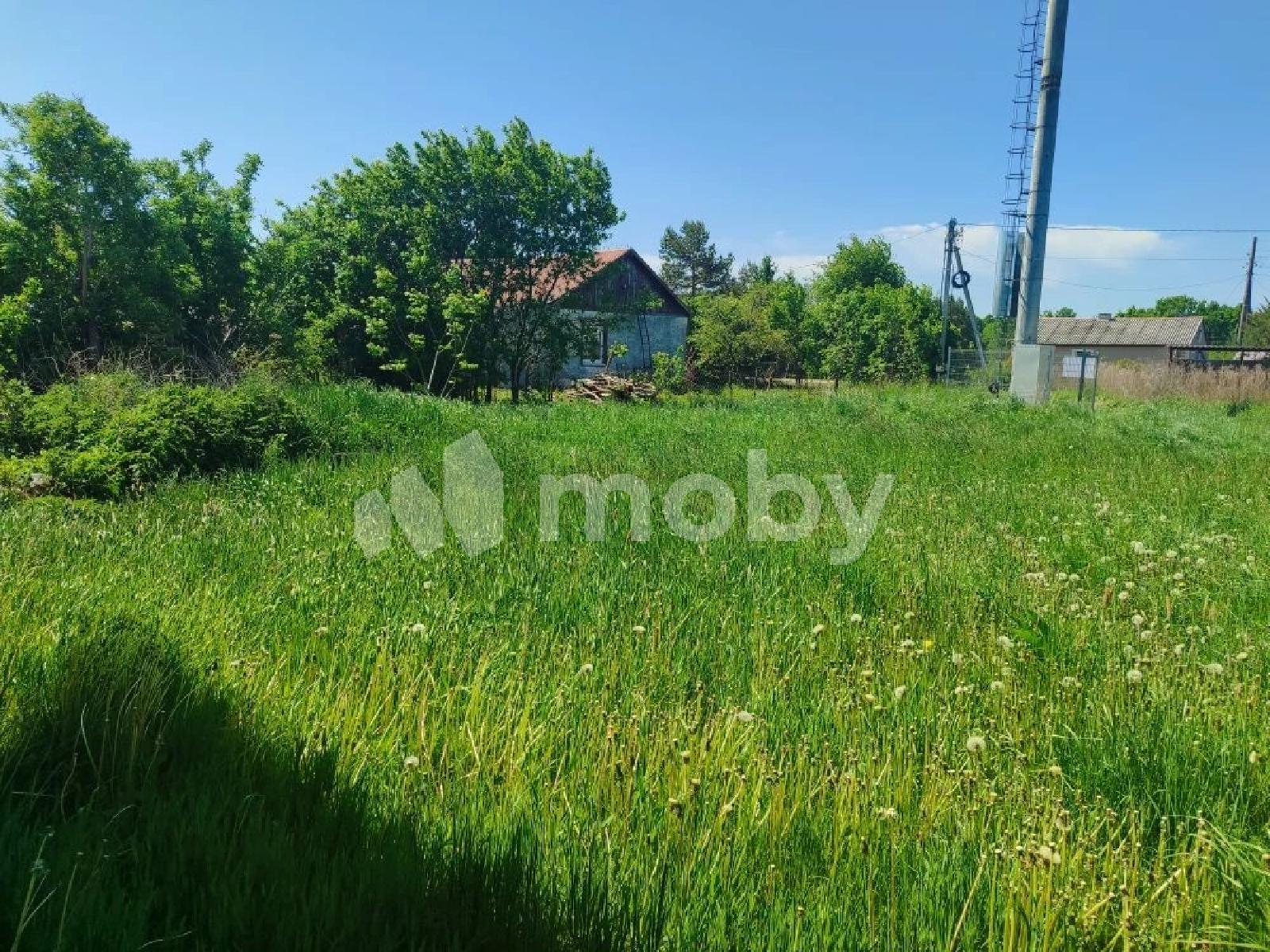 Фото: 3f6f31ad-e3d8-48cb-abcc-4f9ea4a22508.jfif
