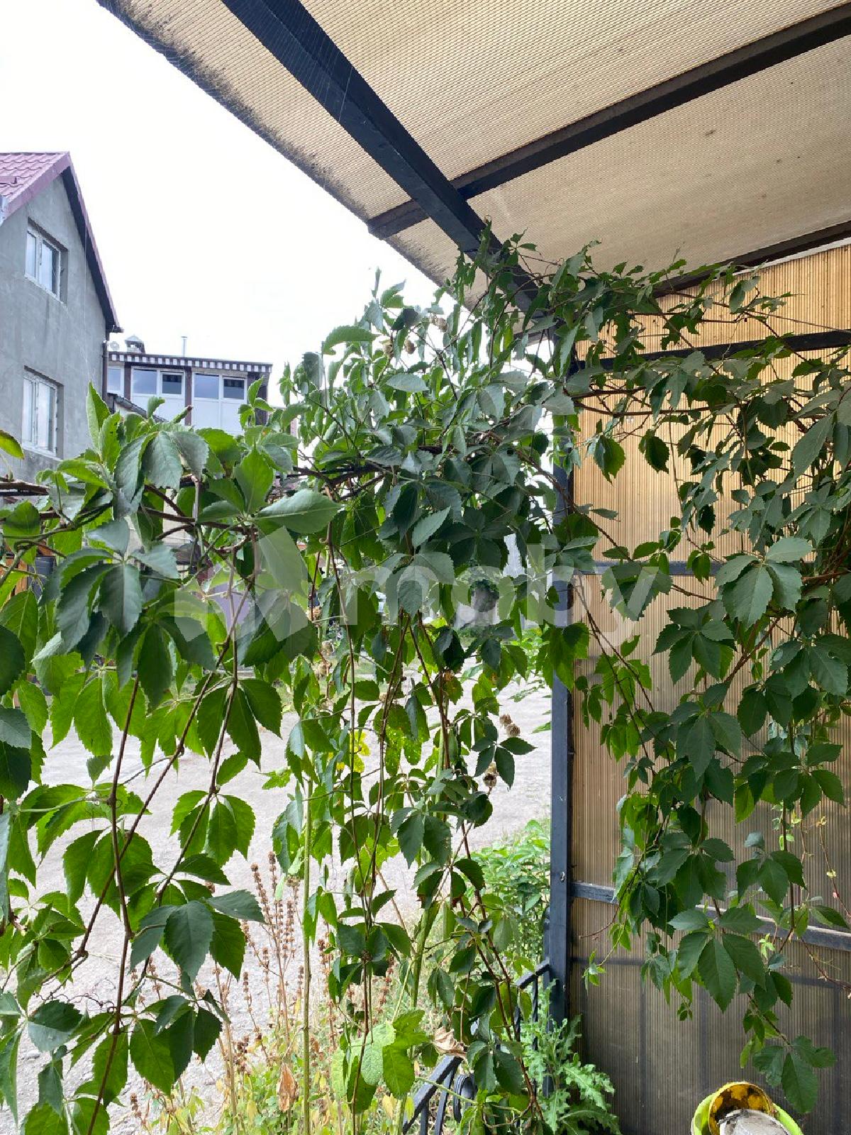 Фото: 3f88208a-2d9c-40d0-b59e-c4503a0a4b85.jpg