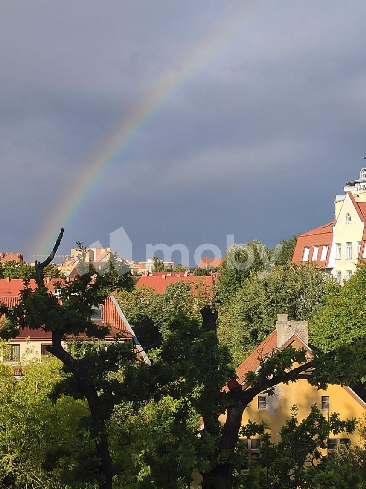 Фото: 3fa9fcae-de1d-445a-a8dd-1148cf16bfe0.jpg