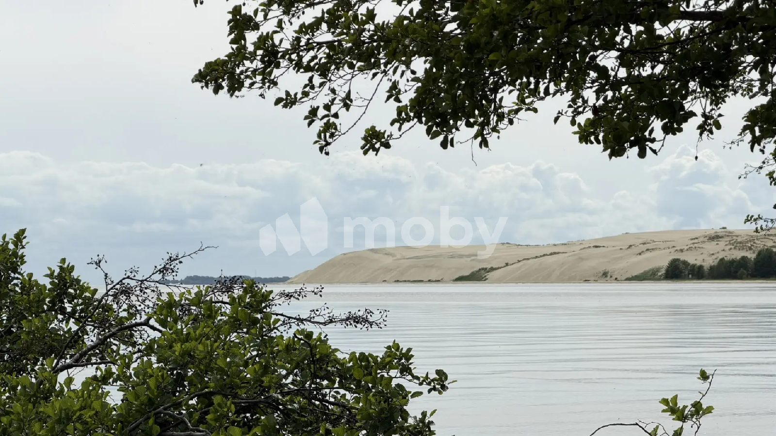 Фото: 40f0bb88-0bc3-4df7-9c23-224c15f9d8bd.png