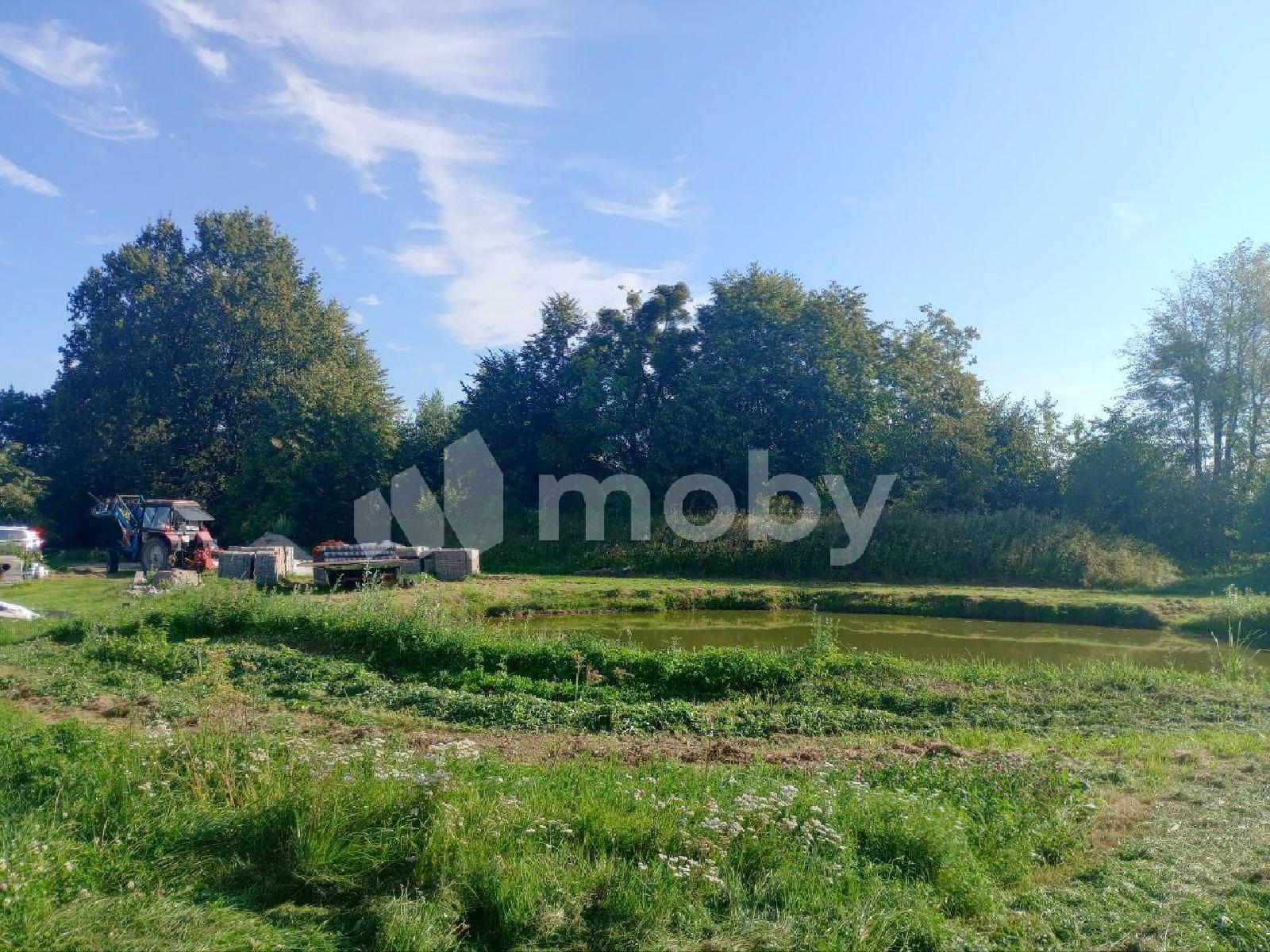 Фото: 4174f8cc-113c-4edb-9acd-821c532b0f22.jpg