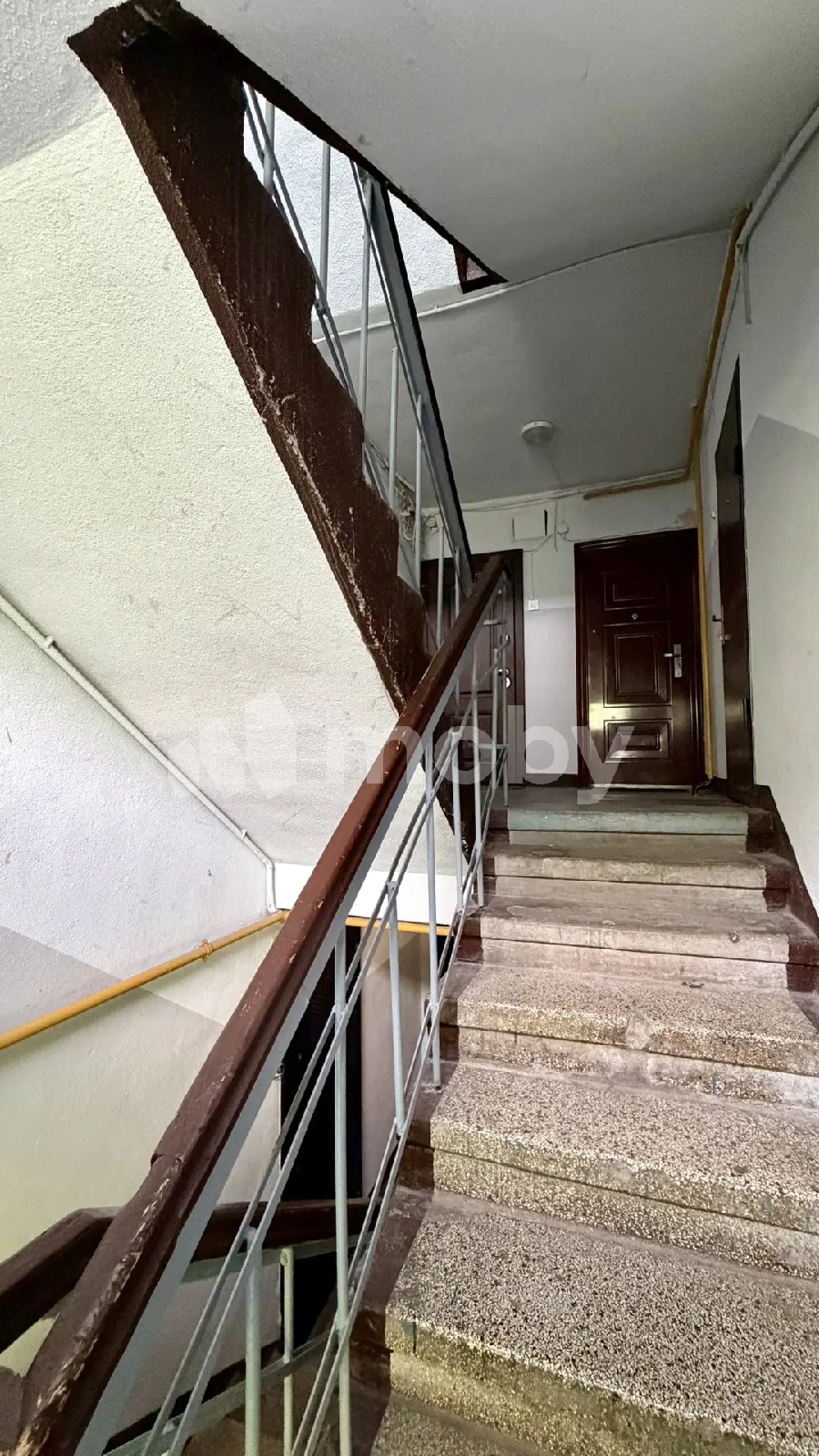 Фото: 435d21cf-367e-4ac0-a9c2-5ac6bba7d41b.png