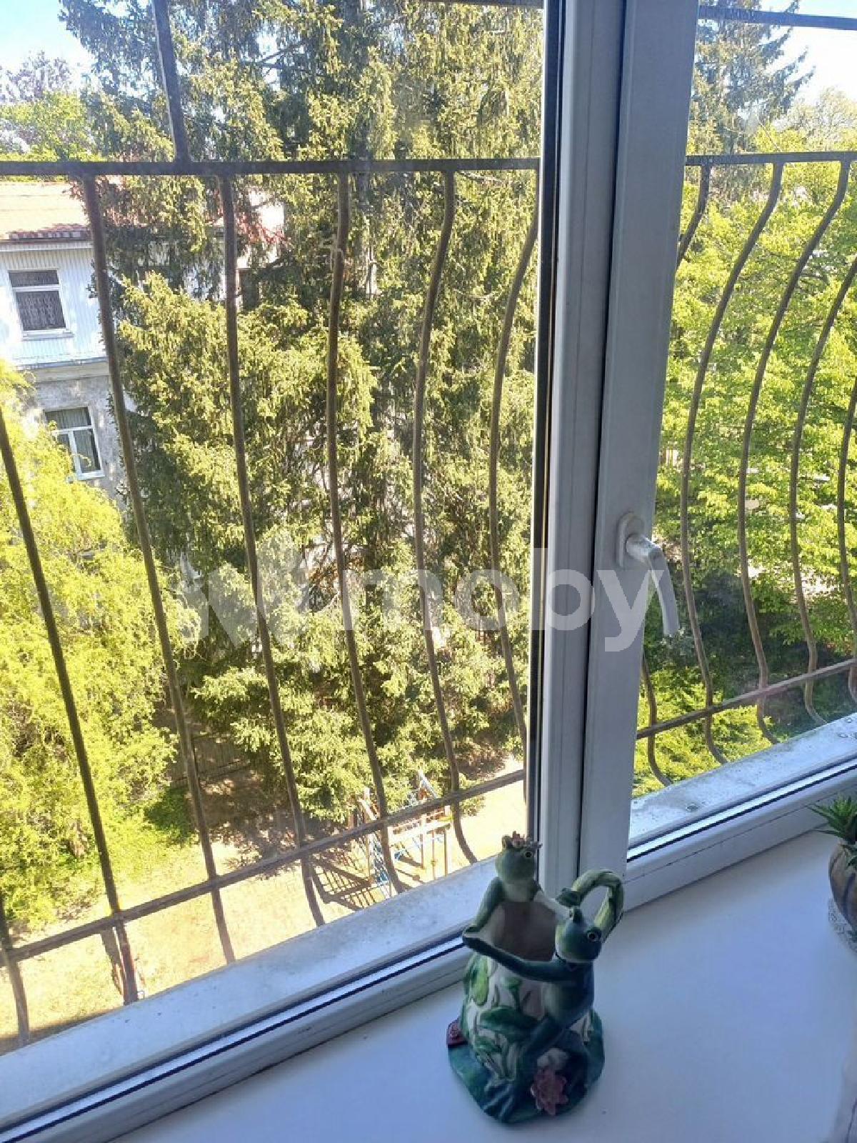 Фото: 441130da-298c-4ec0-ad42-a8e8b03d7b79.jpg