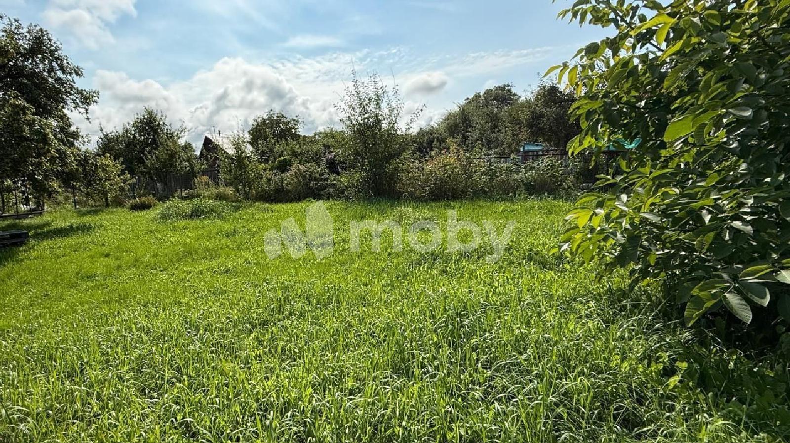 Фото: 4424474d-2c91-4f86-aaba-4e9dec323e4b.jpg