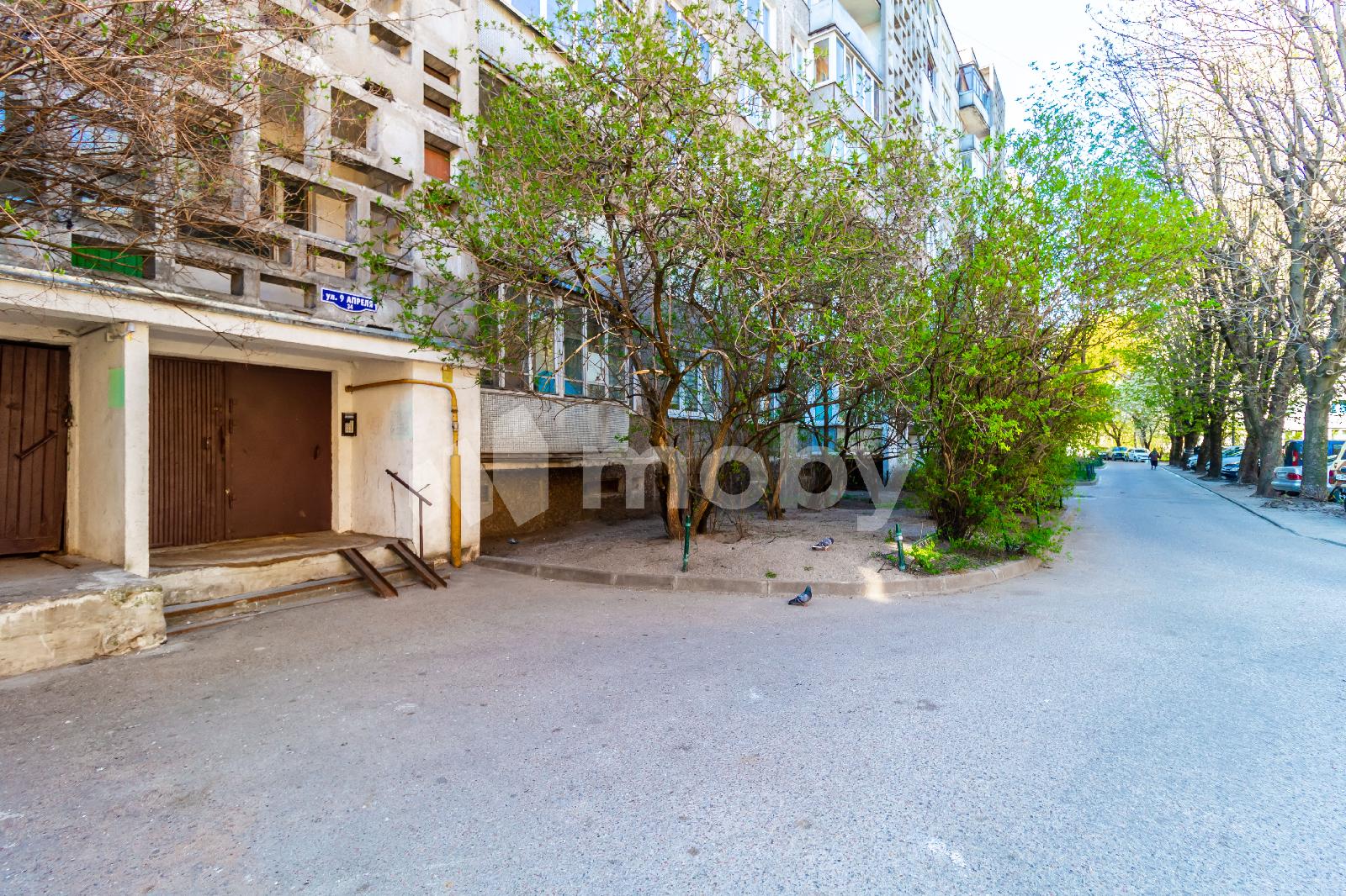 Фото: 443fc17d-959c-4e0f-b026-382dc78756e4.jpg