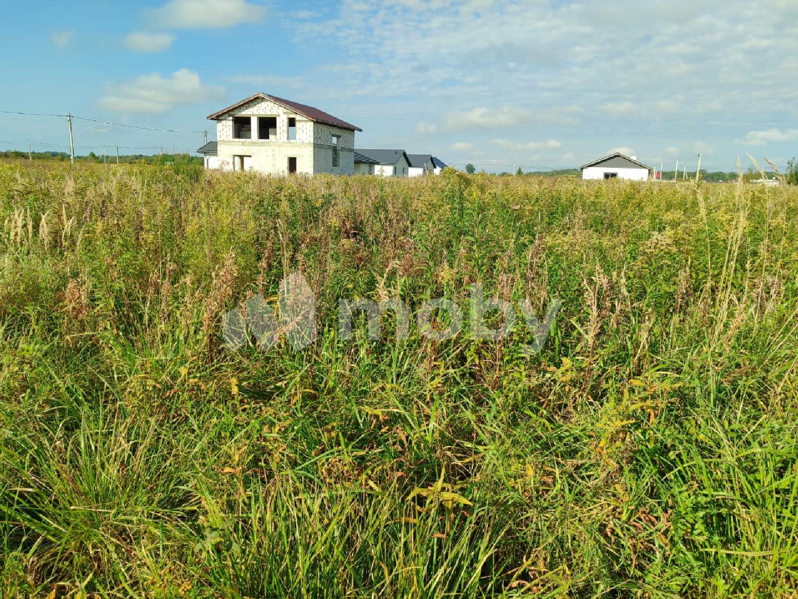 Фото: 450393af-e2dc-4e62-836f-4f6440c1c8af.jpeg