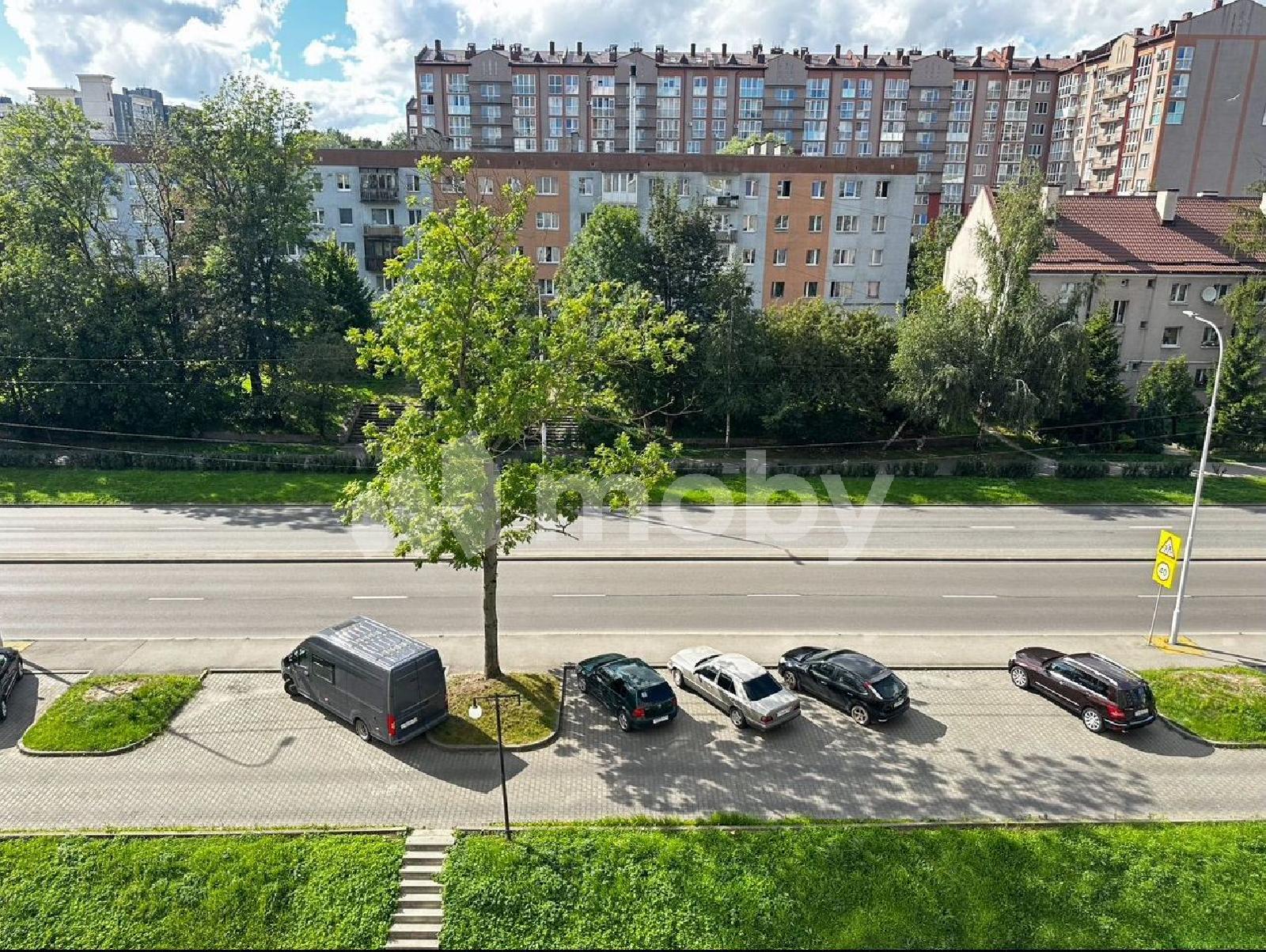 Фото: 453cb437-85fc-4200-8fd0-fc52a7b4e3f6.jpg