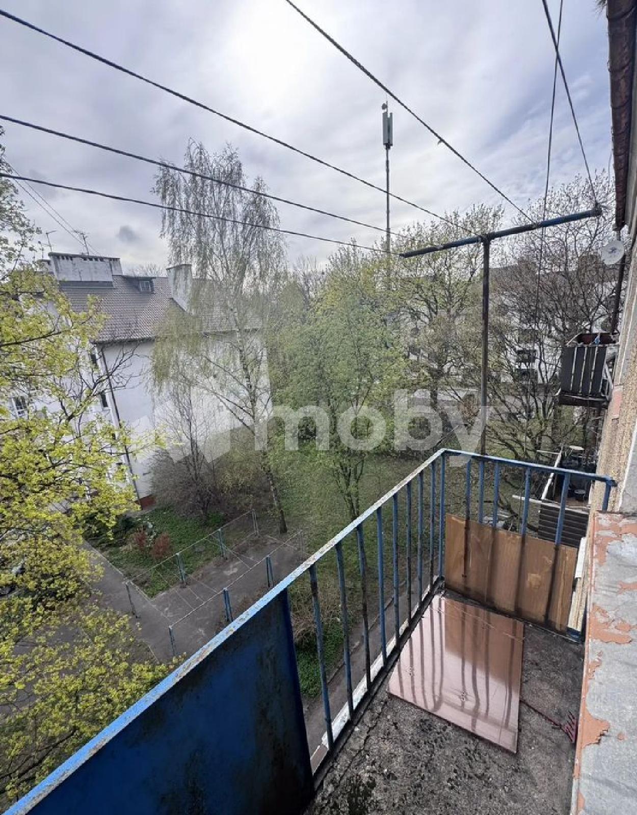 Фото: 4586d325-36a5-4378-b13e-aa88ed87e7b9.jpg