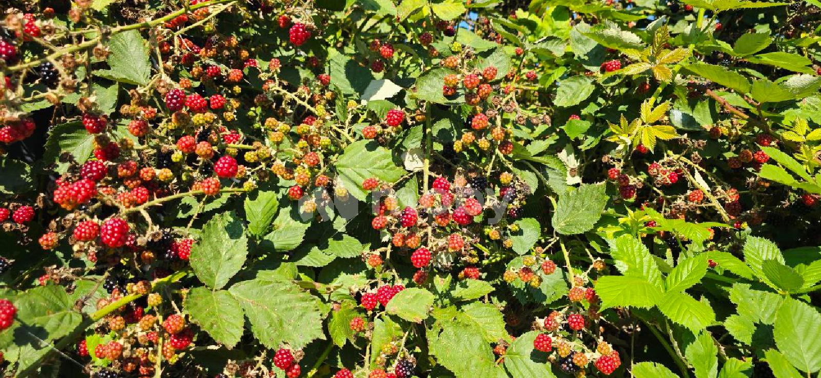 Фото: 46cdd65d-260e-4993-a78e-f3f9725048e6.jpg