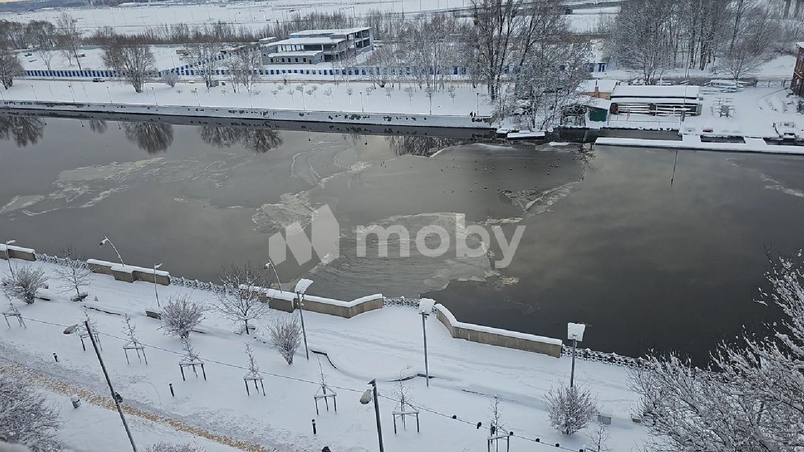 Фото: 47043416-aeb3-43e9-978f-eabd9048c090.jpg