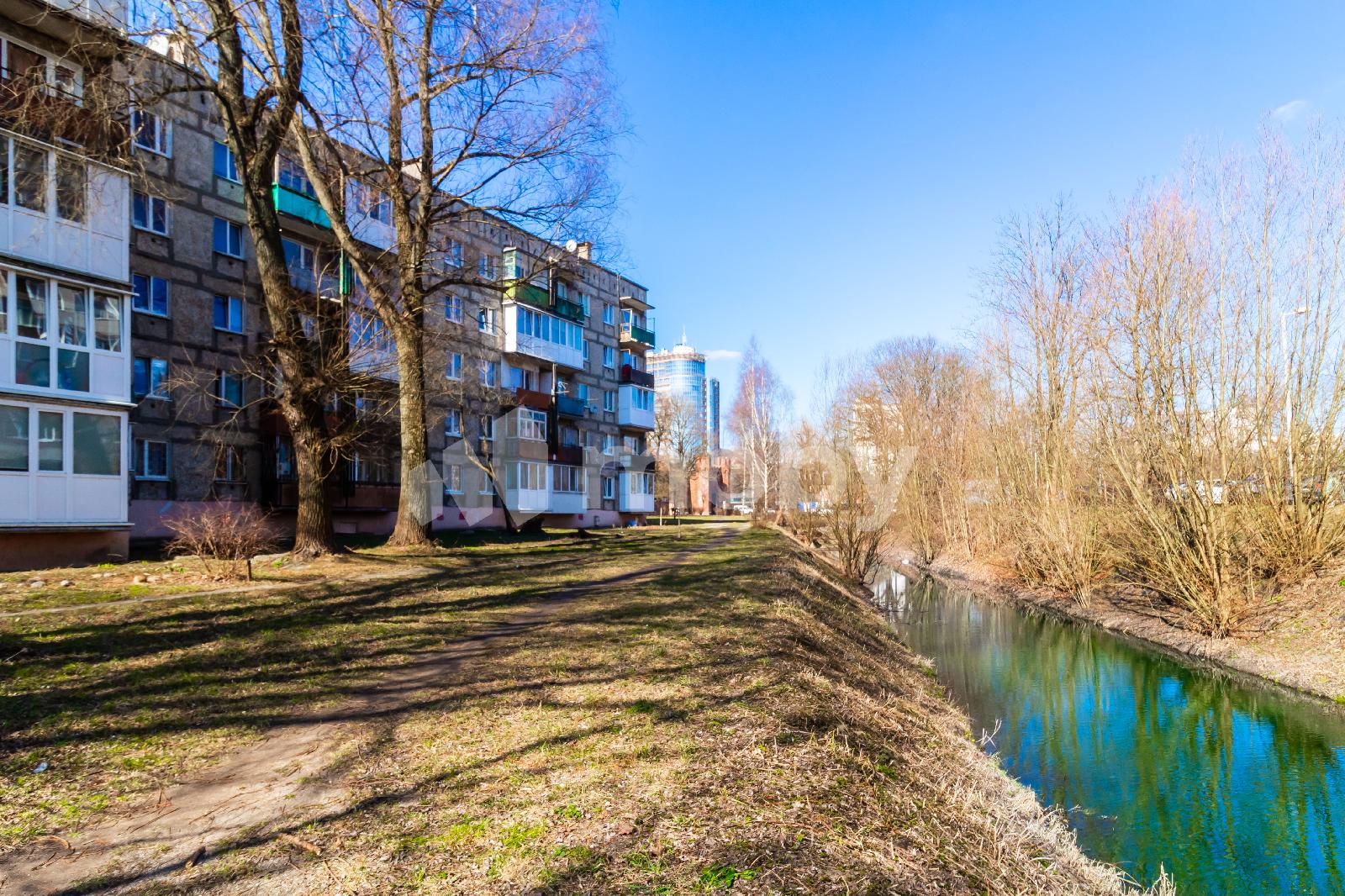 Фото: 47912629-8a47-4879-b85a-80fba38e9da4.jpg