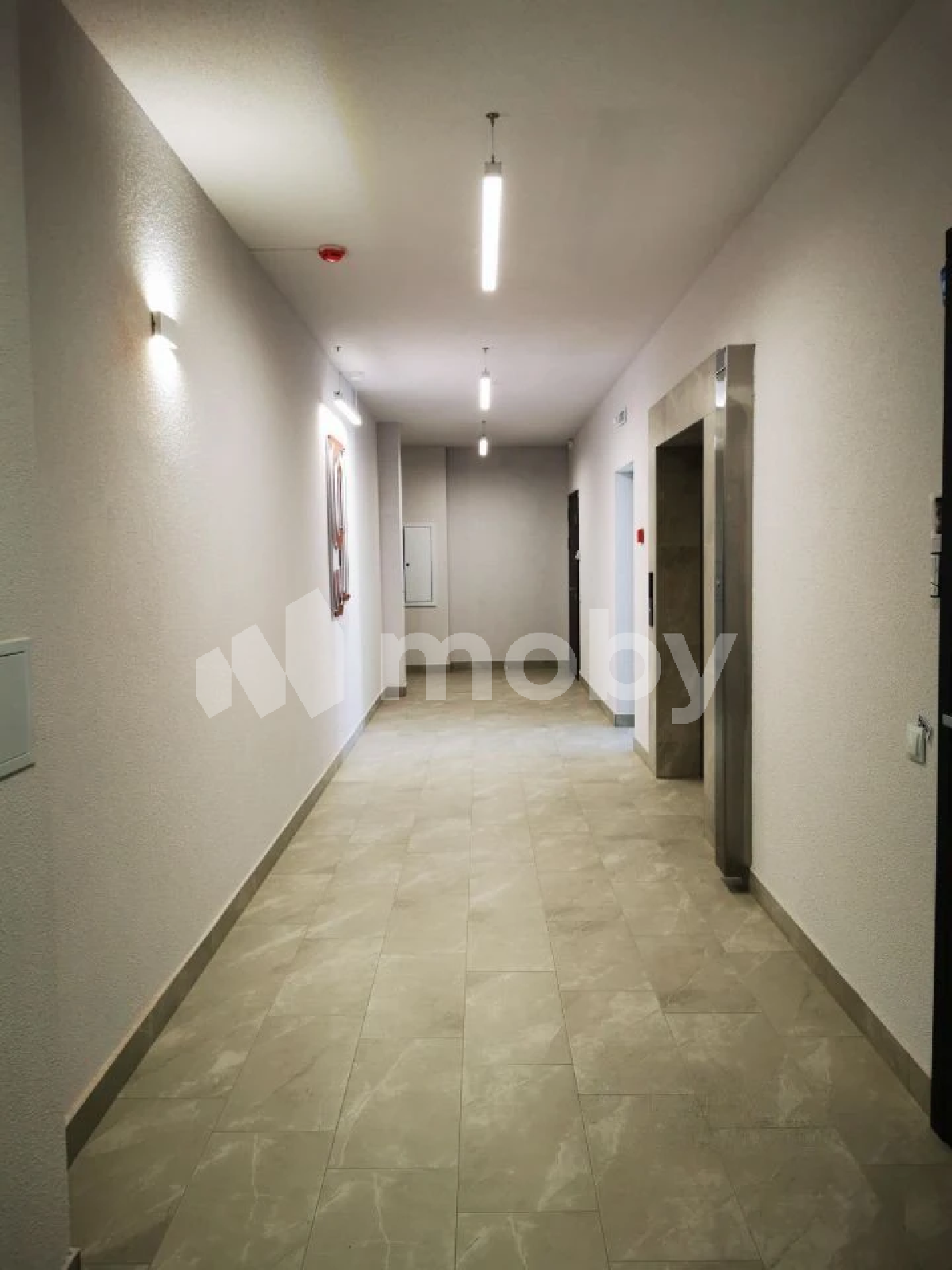 Фото: 4848c412-8c80-4f81-9cbb-9d1e54bccb33.png