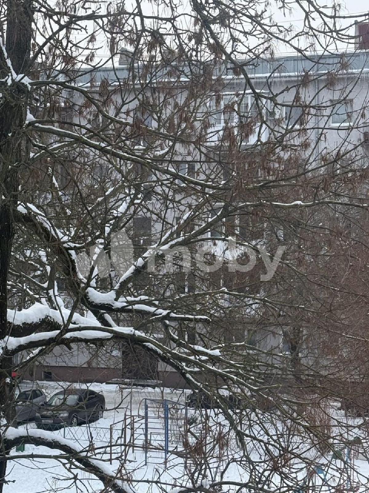 Фото: 497332f0-a08d-4cc7-92b0-3382fe9eac2b.jpeg