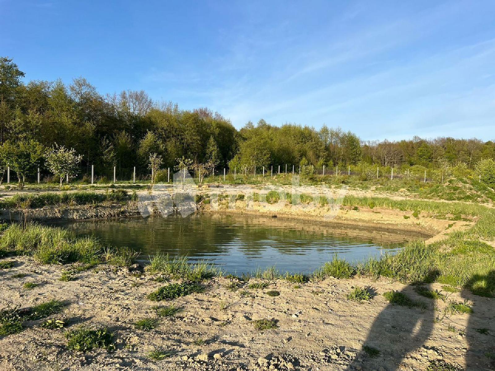 Фото: 4a05e767-4543-4f95-a3f9-f1b4dacc22ce.jpg