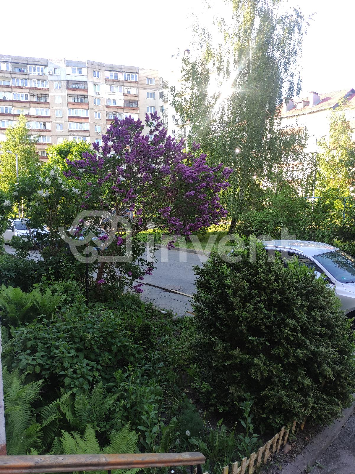 Фото: 4a0716d1-0060-421e-a8bd-1ff9c7cf9f79.jpg