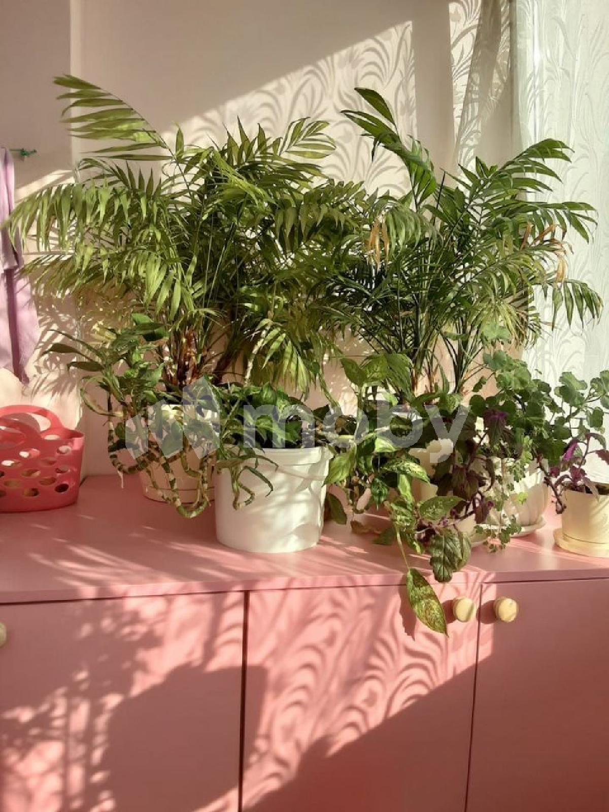 Фото: 4b7fdea6-9407-4c24-a593-318d9cd33ff3.jpeg