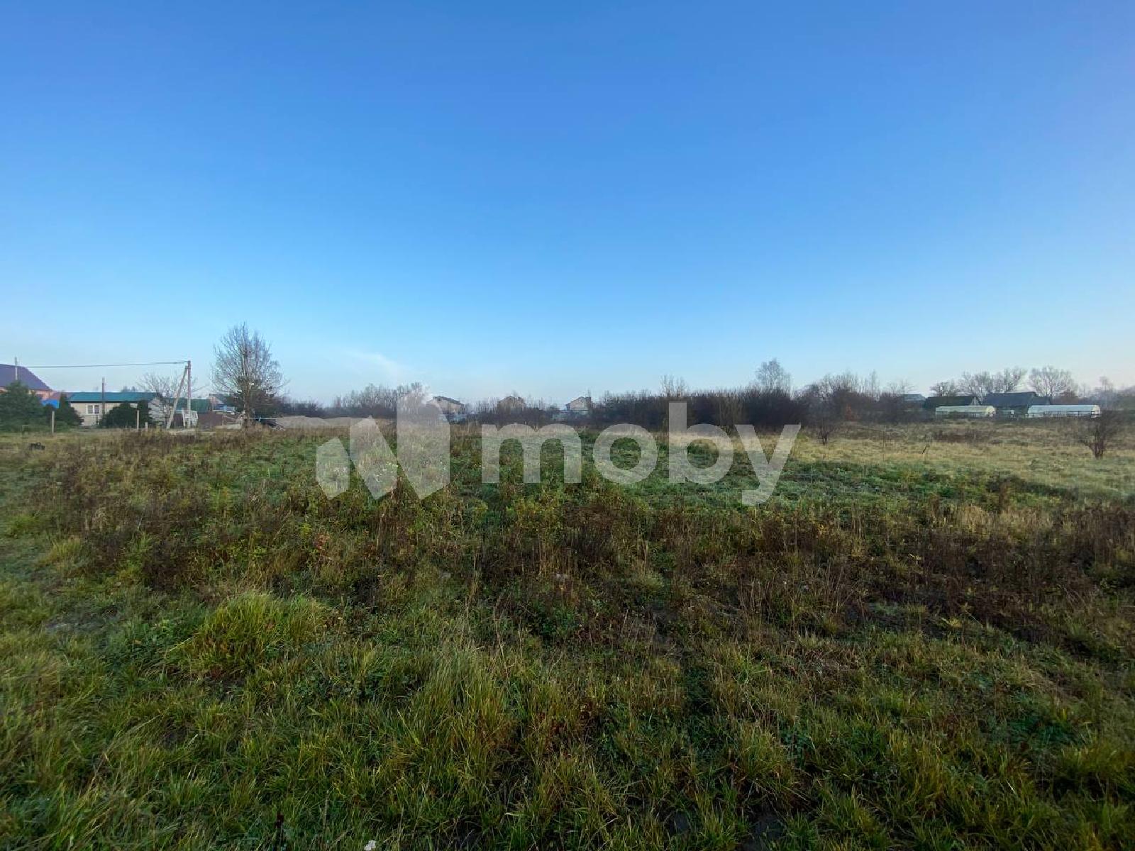 Фото: 4b8d012b-65cb-49dd-8034-3425dc0b7561.jpg