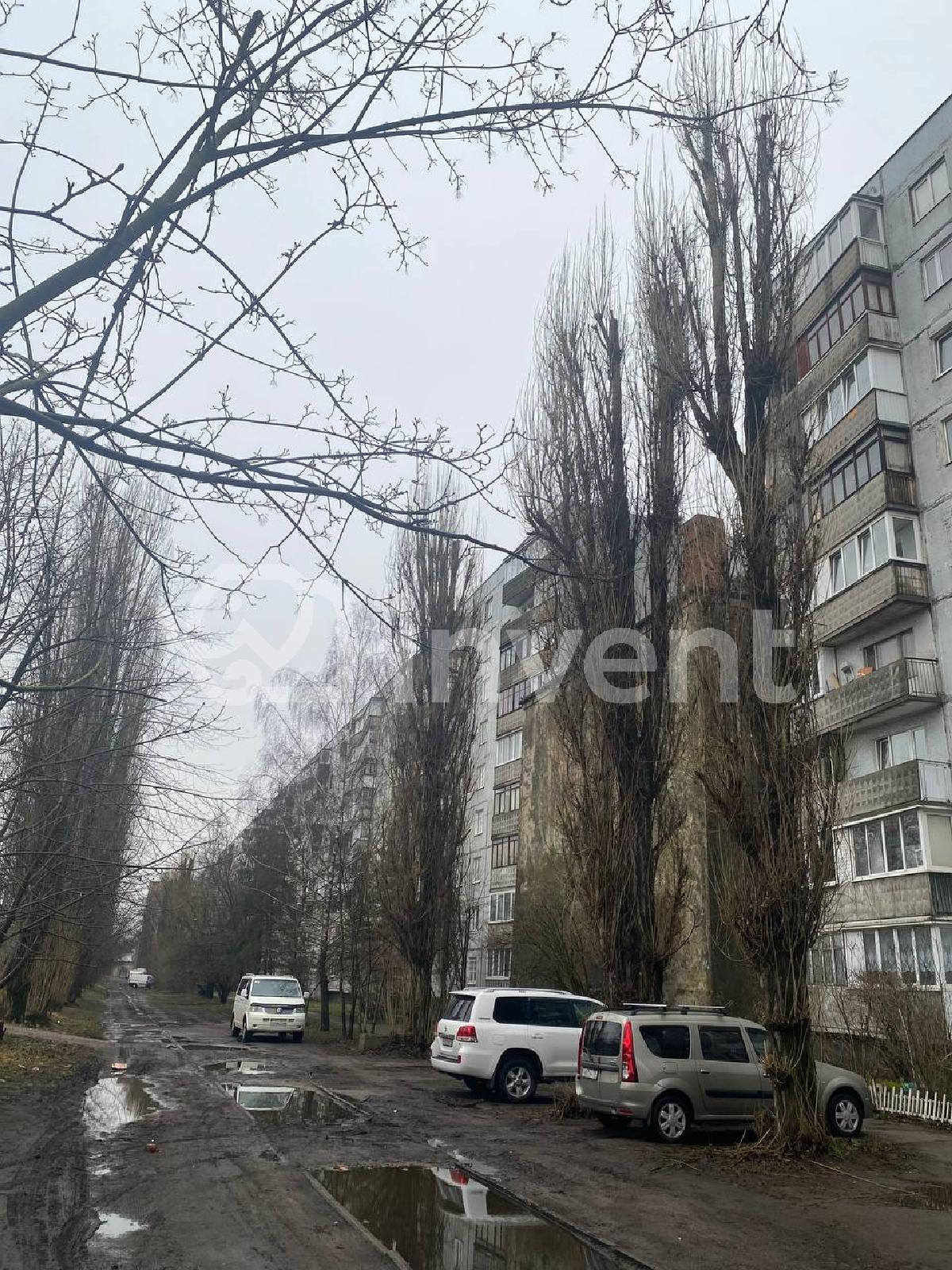 Фото: 4bf292d4-ef15-4cb9-a8c7-069f28a0c8cf.jpg