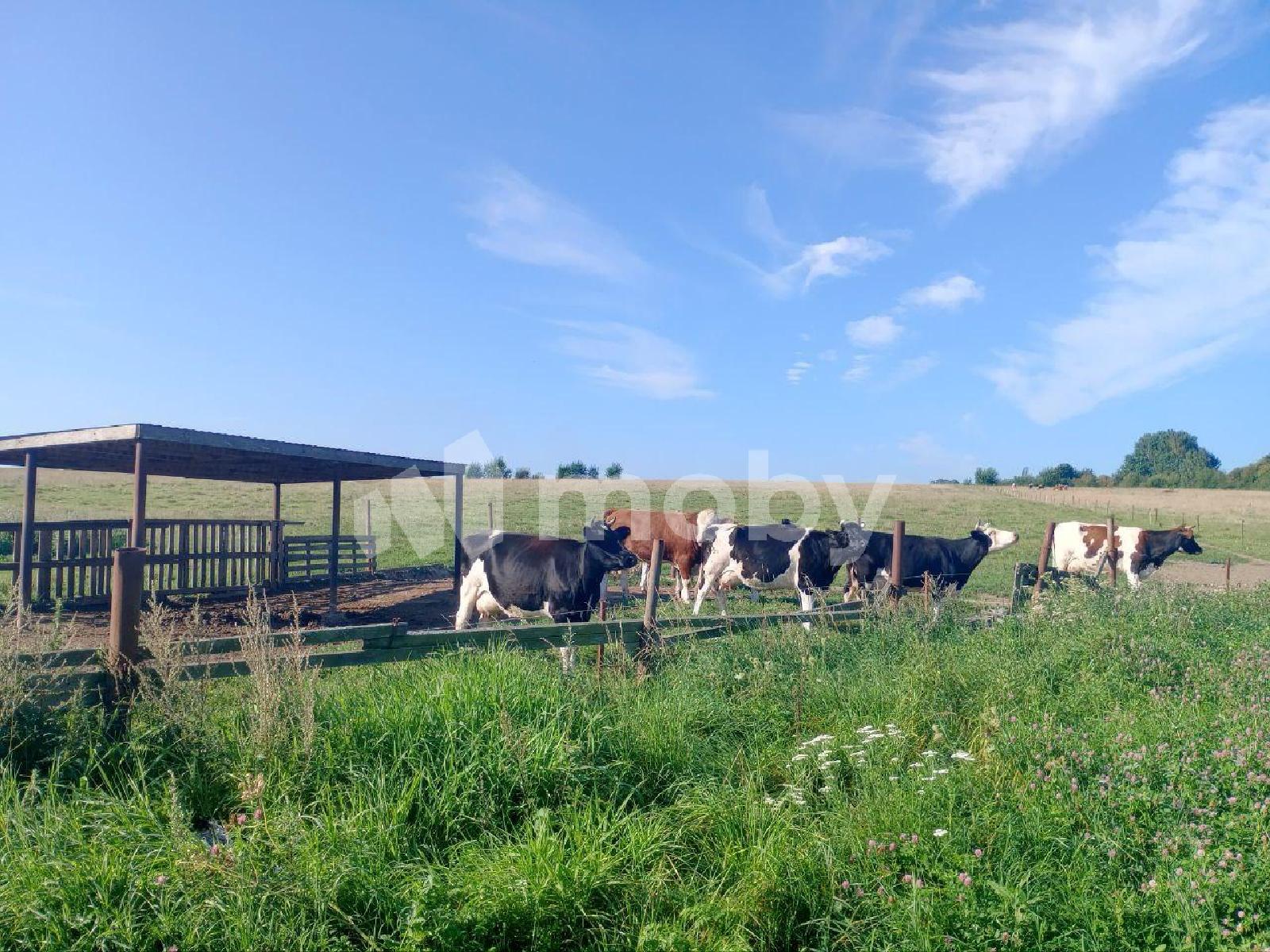 Фото: 4dc52d55-b35f-4aac-81f7-9a705887d8c3.jpg