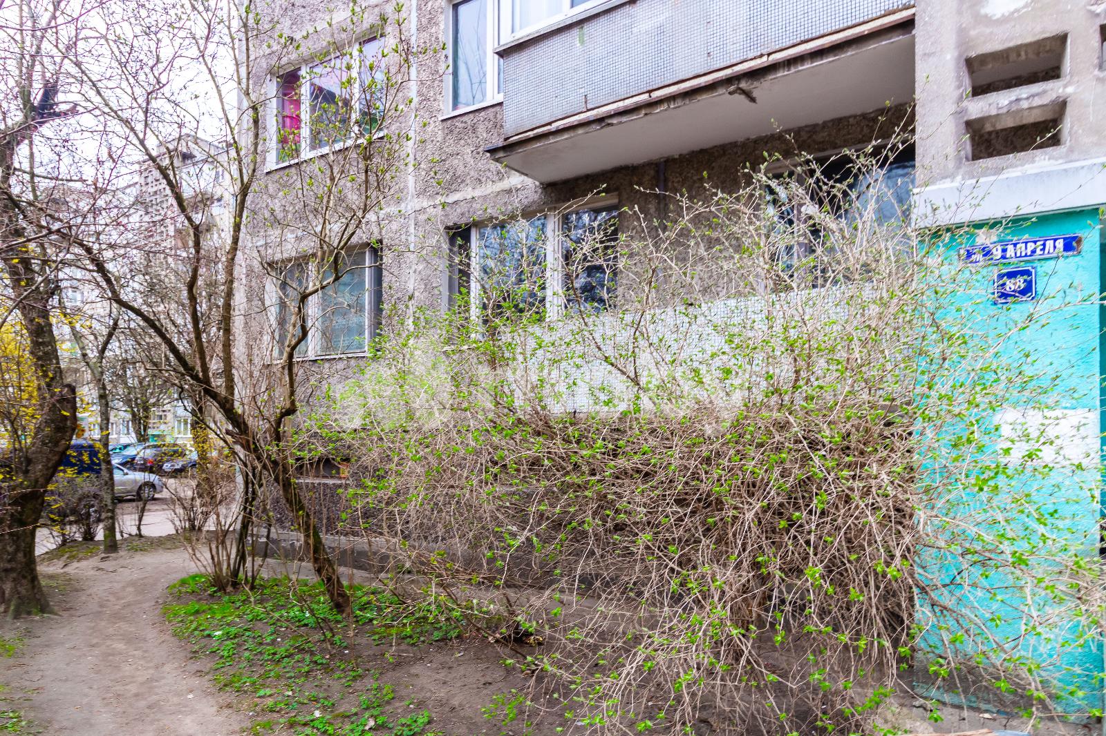 Фото: 4de521bd-687c-49ed-a225-f7653b836cc4.jpg