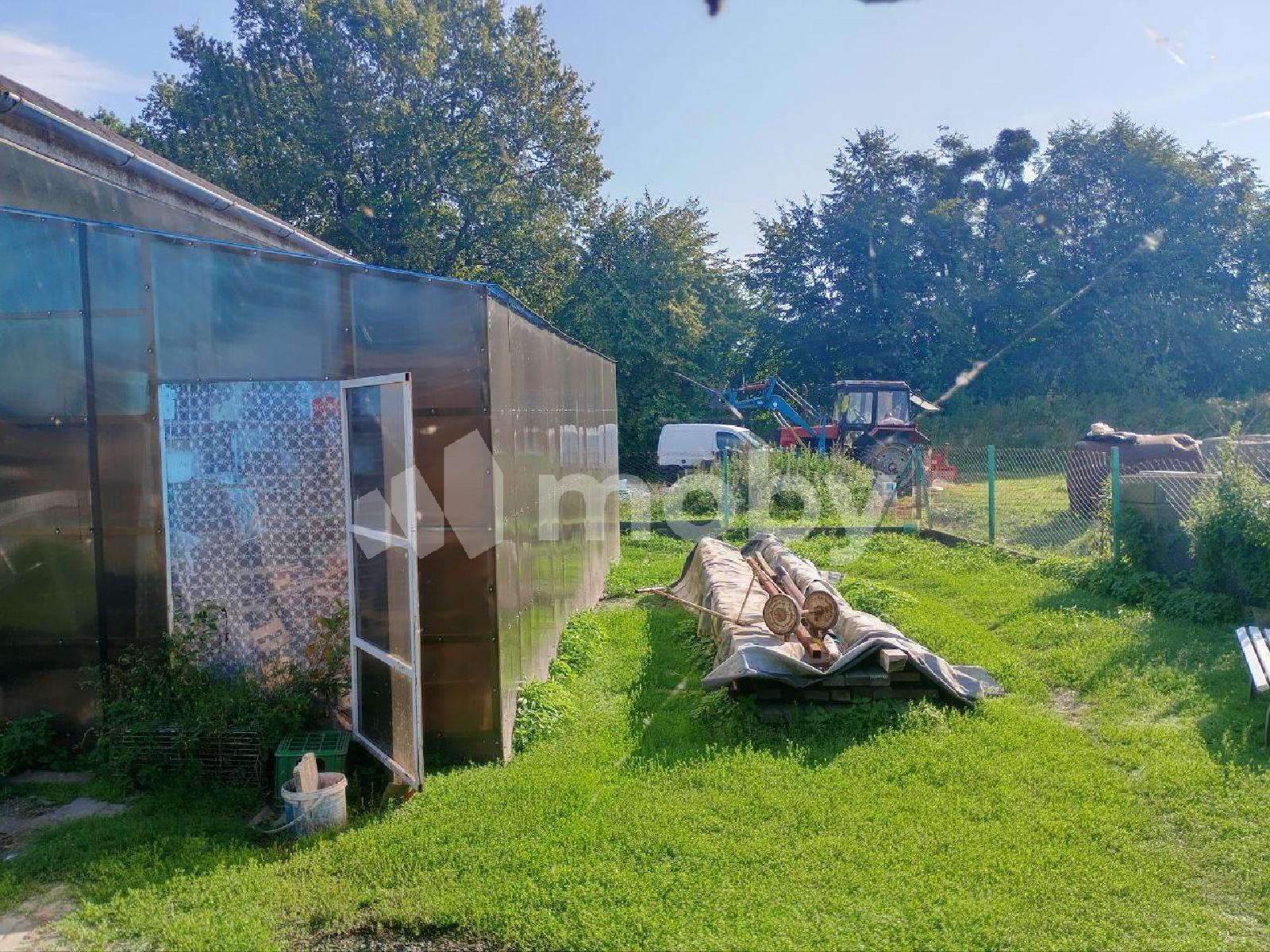 Фото: 4e23f5e0-2c11-4ba1-bbbc-bc1b9f7804dc.jpg