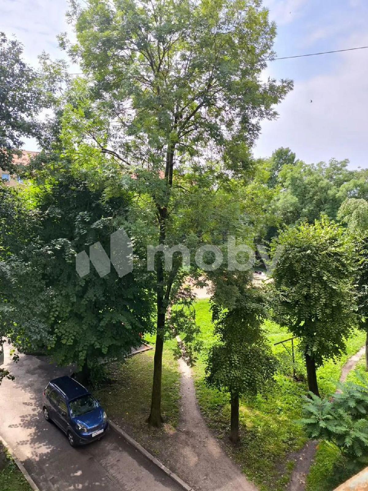 Фото: 4e90ba8f-22a8-4d3c-9b9c-480c92f96617.jpg