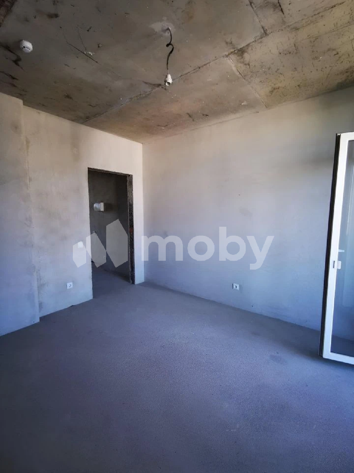 Фото: 4ebad8aa-dda6-4ebb-9ce7-ce4fa399162a.png