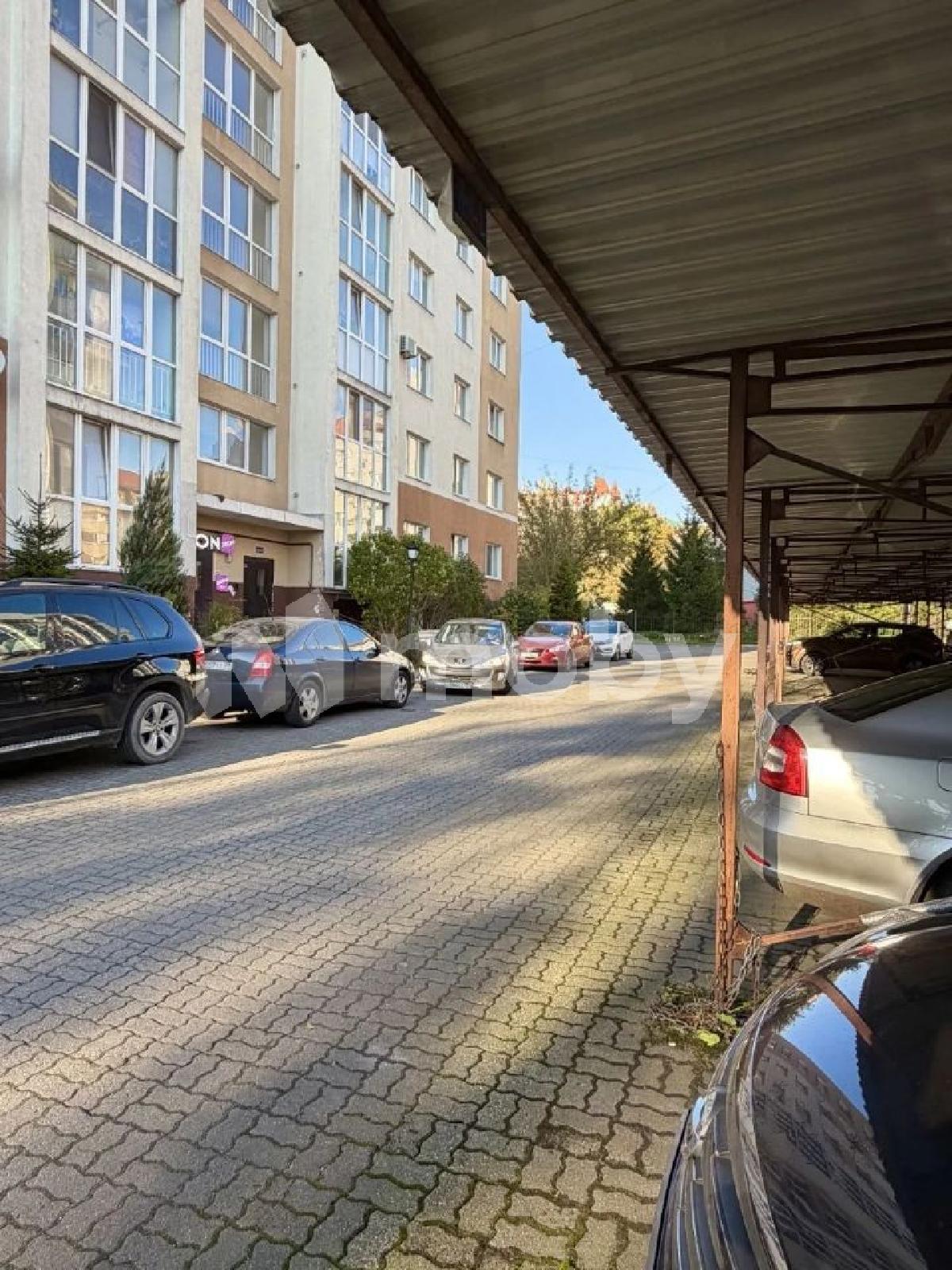 Фото: 4f6a38df-aa66-4c22-bf2d-9f112c2a4f8e.jpeg