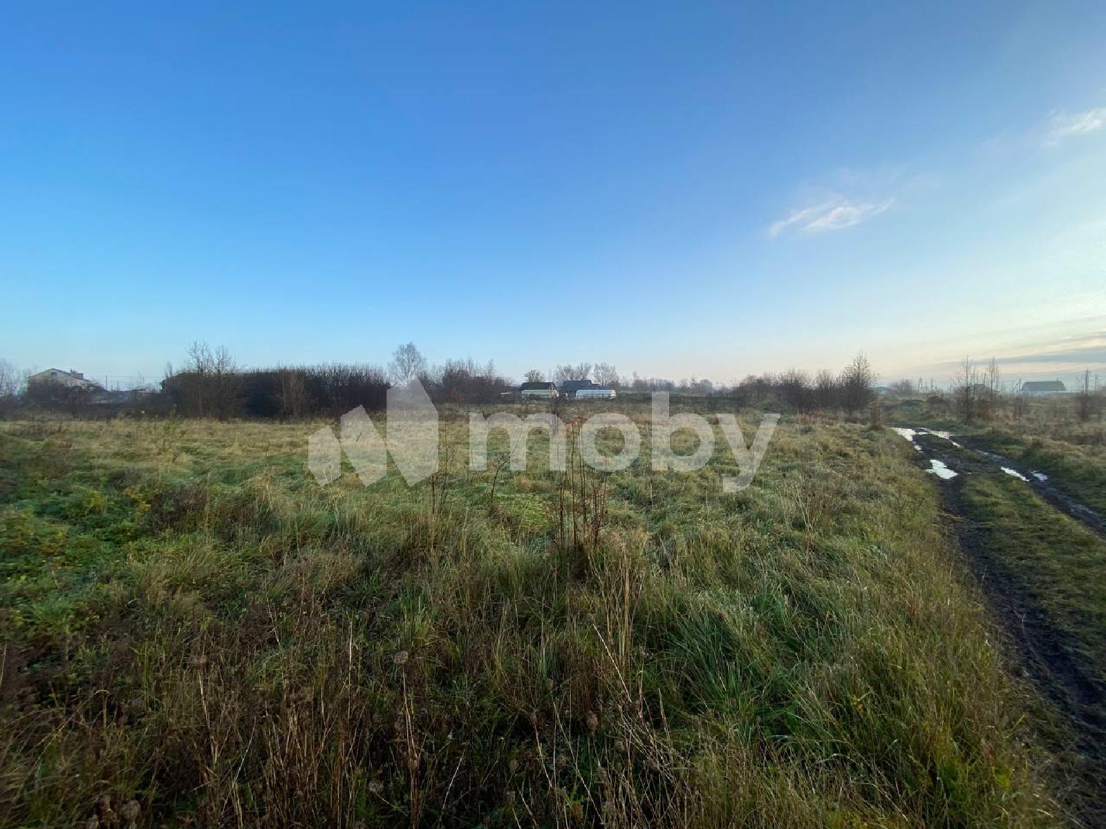 Фото: 5313a1af-36f7-4a6a-9262-c10b85edc7c9.jpg