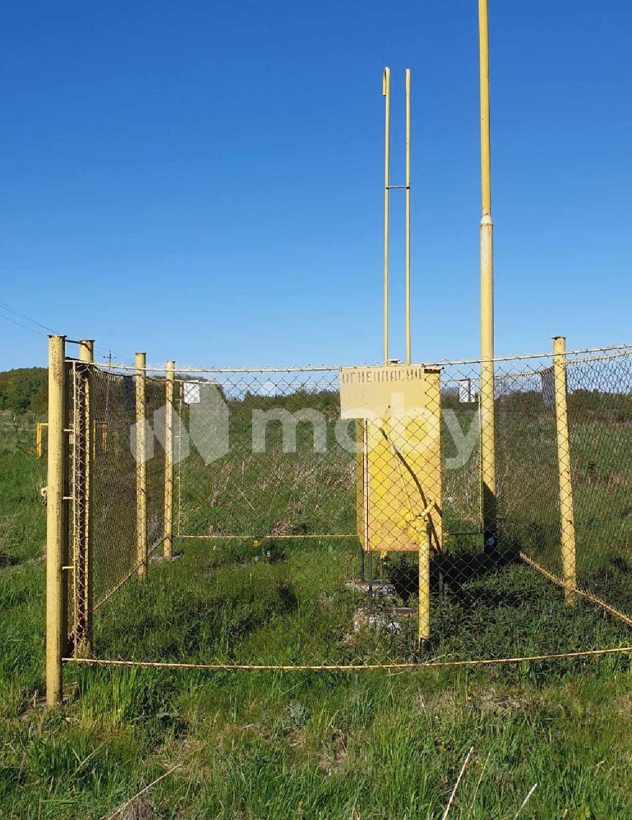 Фото: 539950cd-80c4-4602-8b31-522bcf87e7b4.jpg