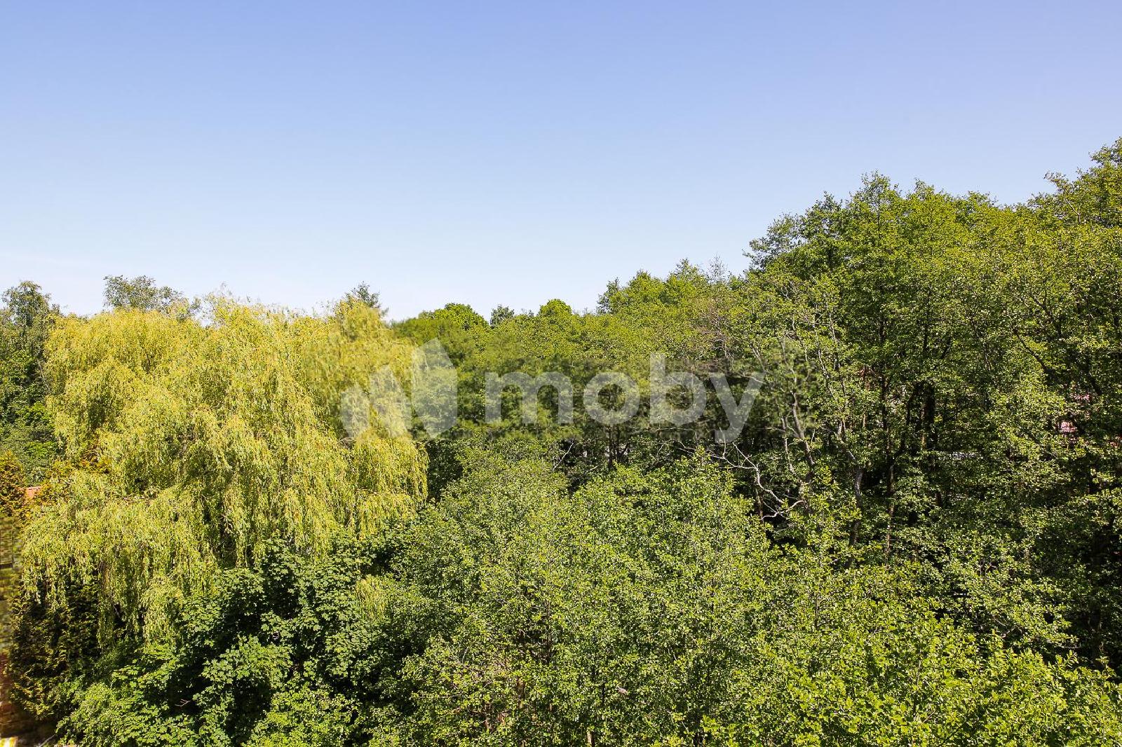 Фото: 53d3b0c1-f15d-4a51-bd66-aee4cdaff8b4.jpg